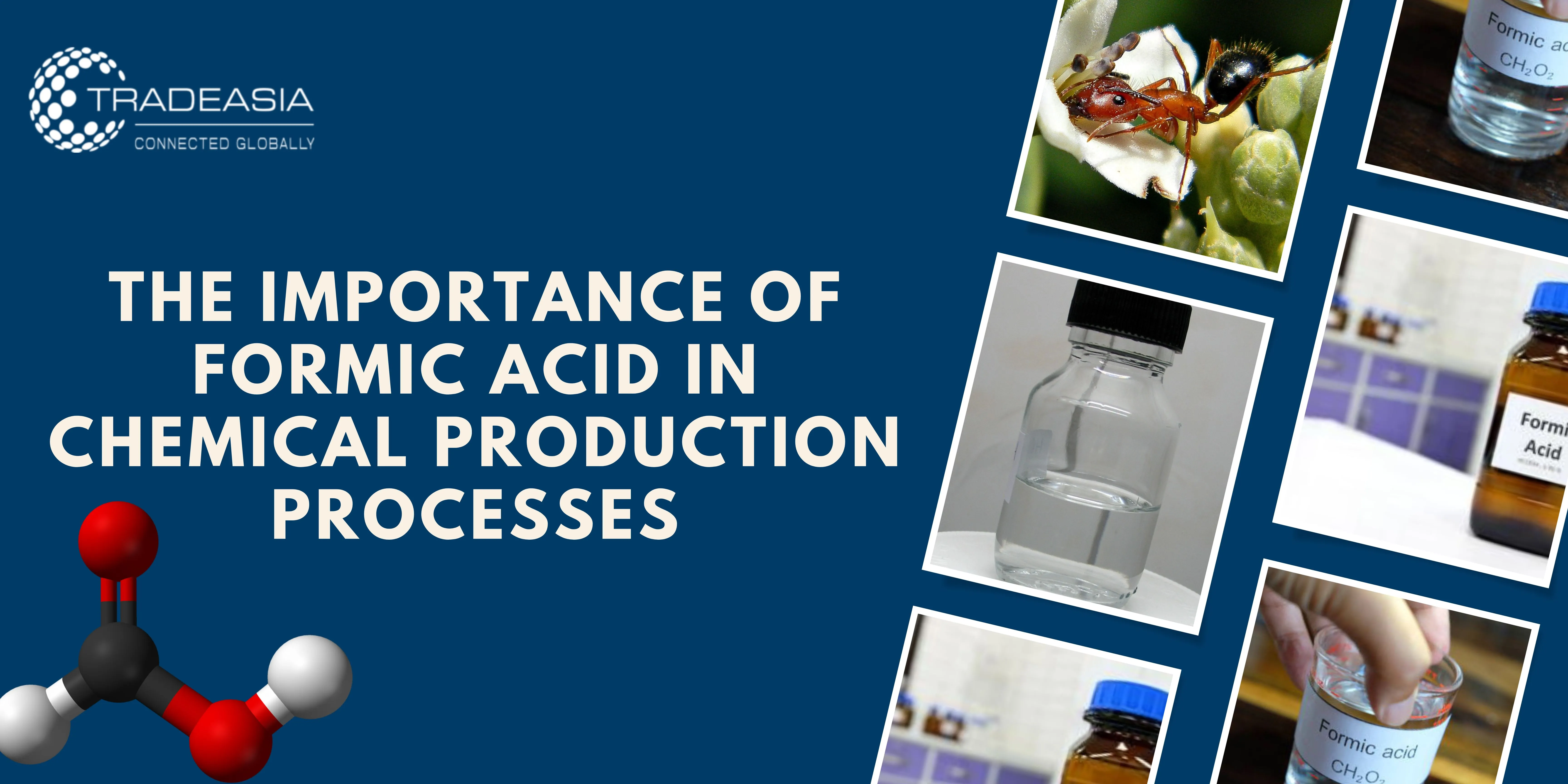 The Importance of Formic Acid in Chemical Production Processes