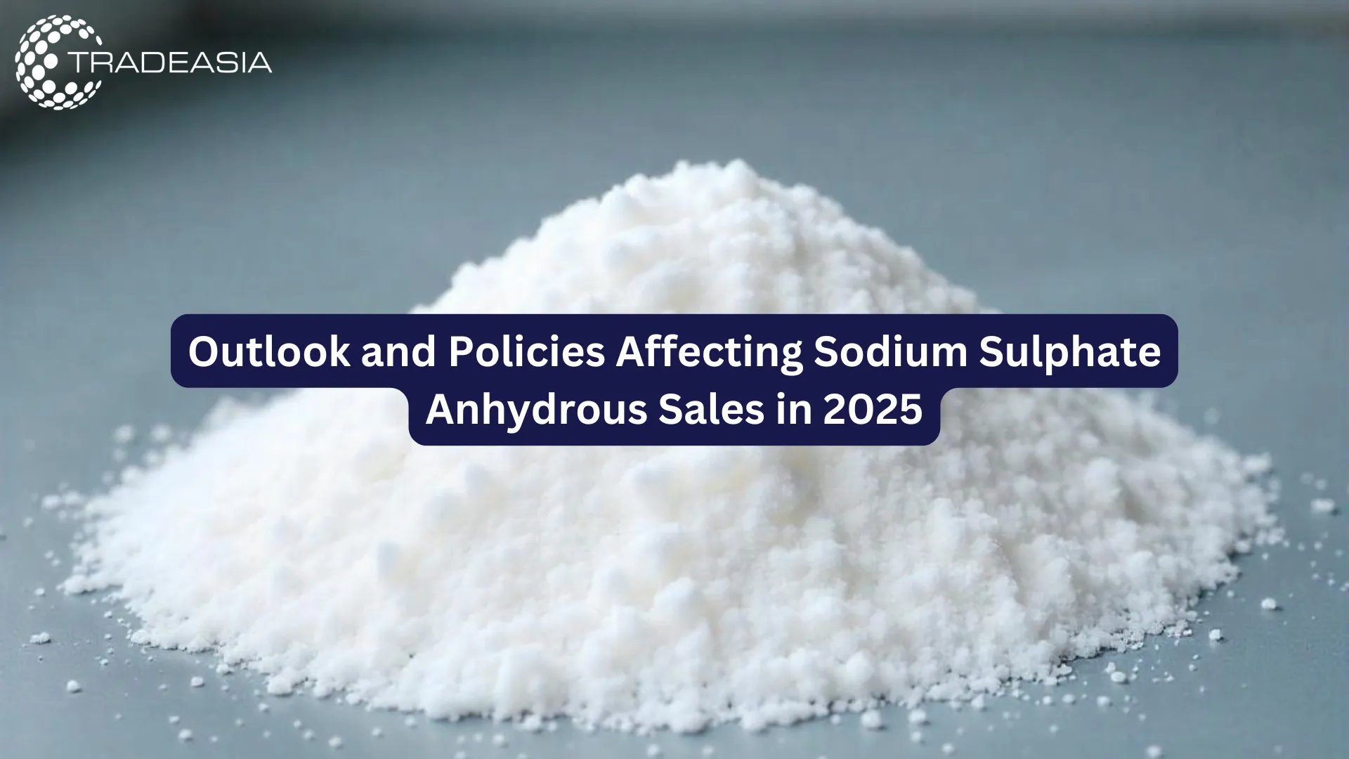 Outlook and Policies Affecting Sodium Sulphate Anhydrous Sales in 2025