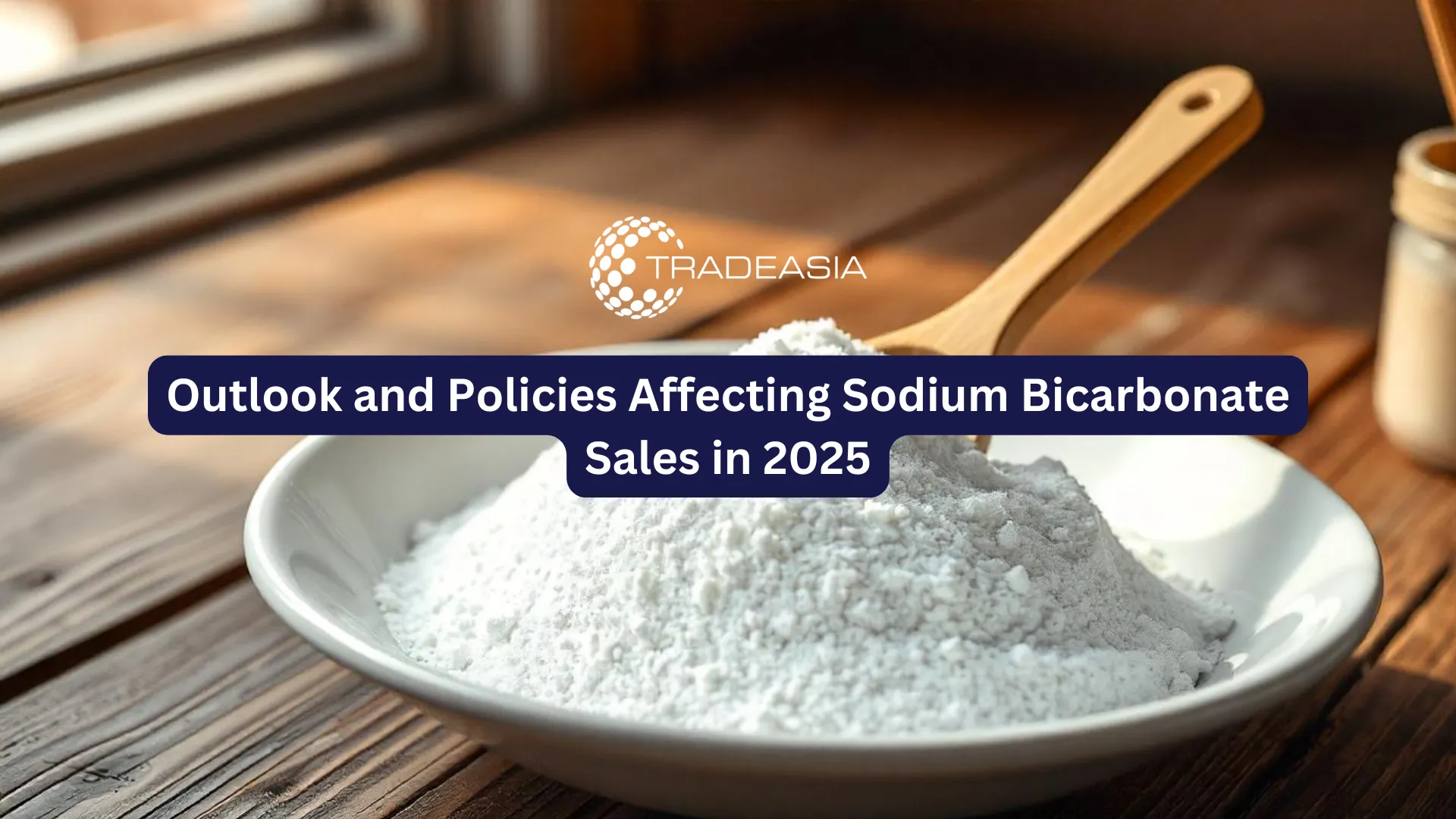 Outlook and Policies Affecting Sodium Bicarbonate Sales in 2025