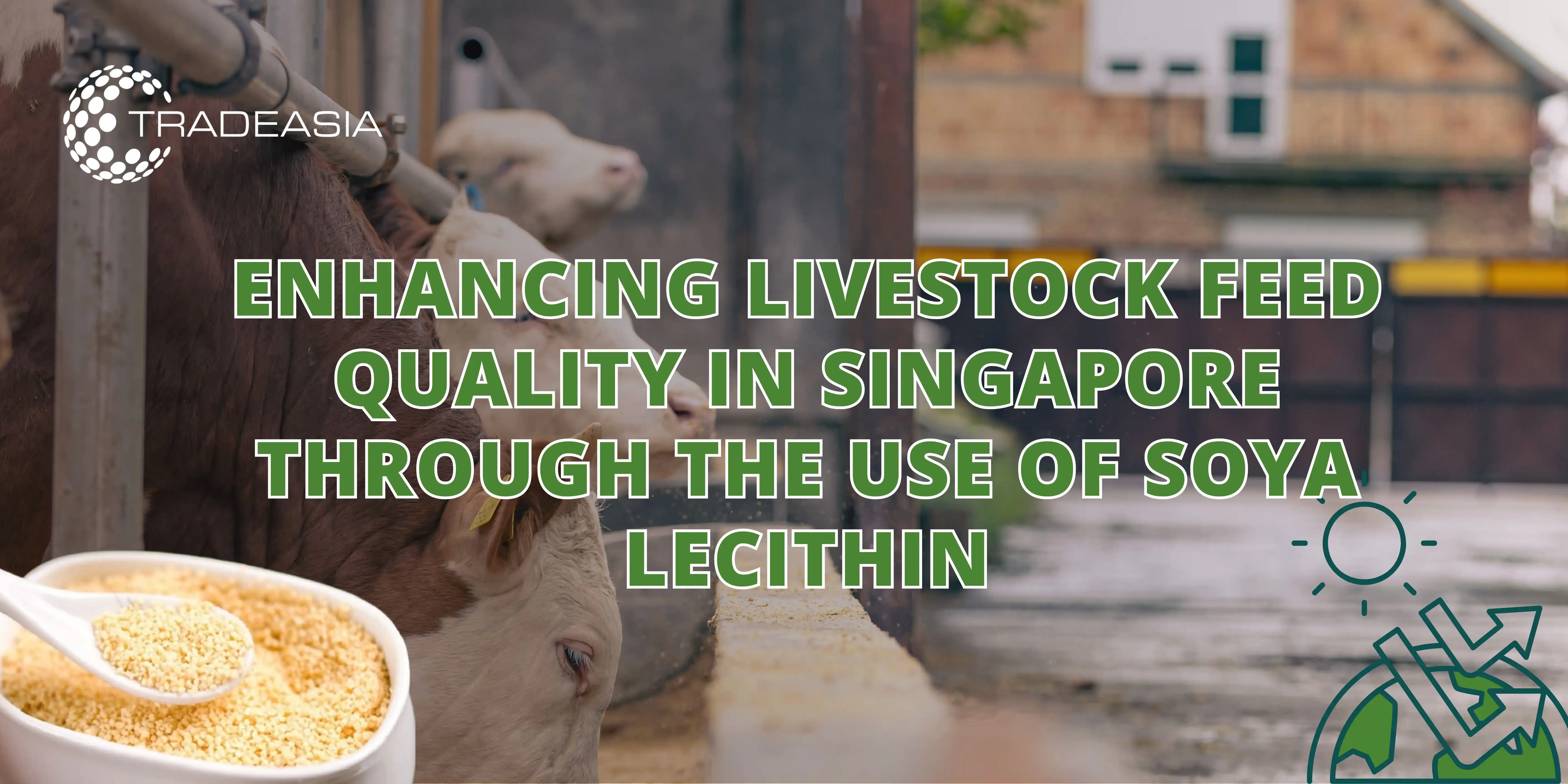 Enhancing Livestock Feed Quality in Singapore Through the Use of Soya Lecithin