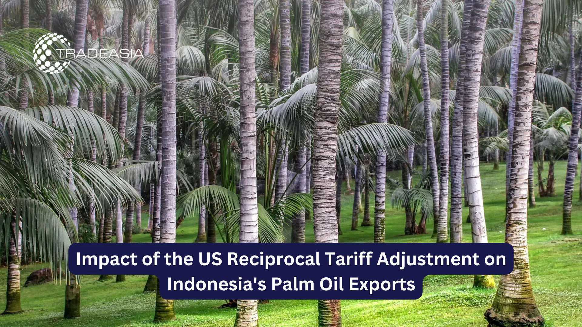 Impact of the US Reciprocal Tariff Adjustment on Indonesia's Palm Oil Exports
