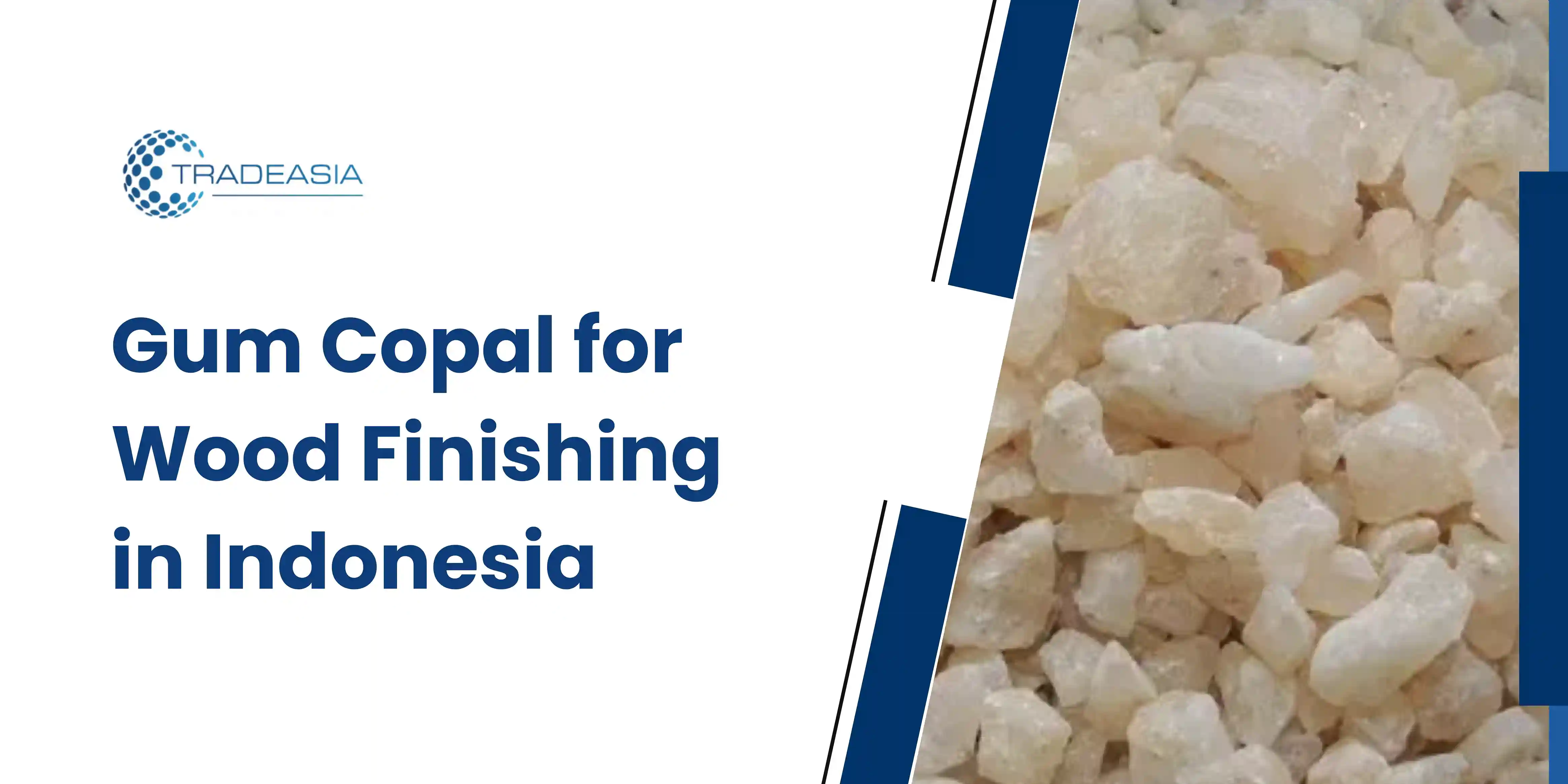 Gum Copal for Wood Finishing in Indonesia