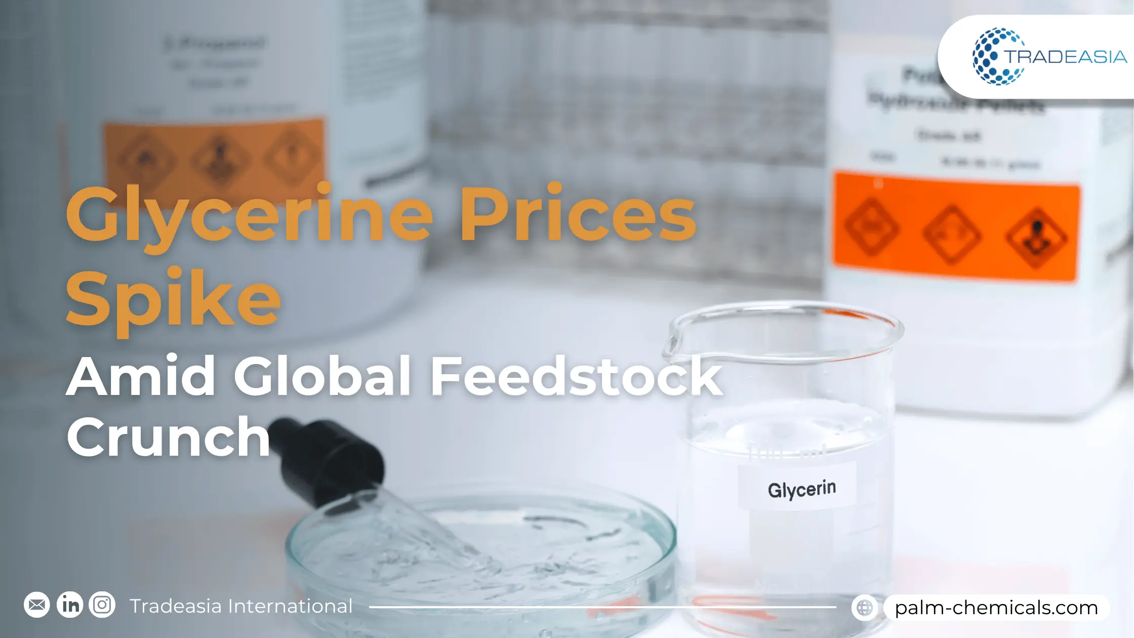 Banner Market Insight