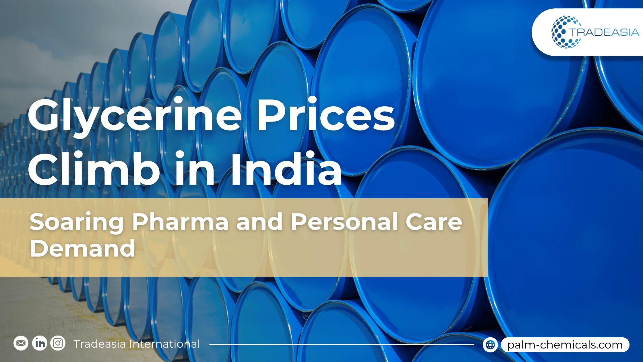 Banner Market Insight