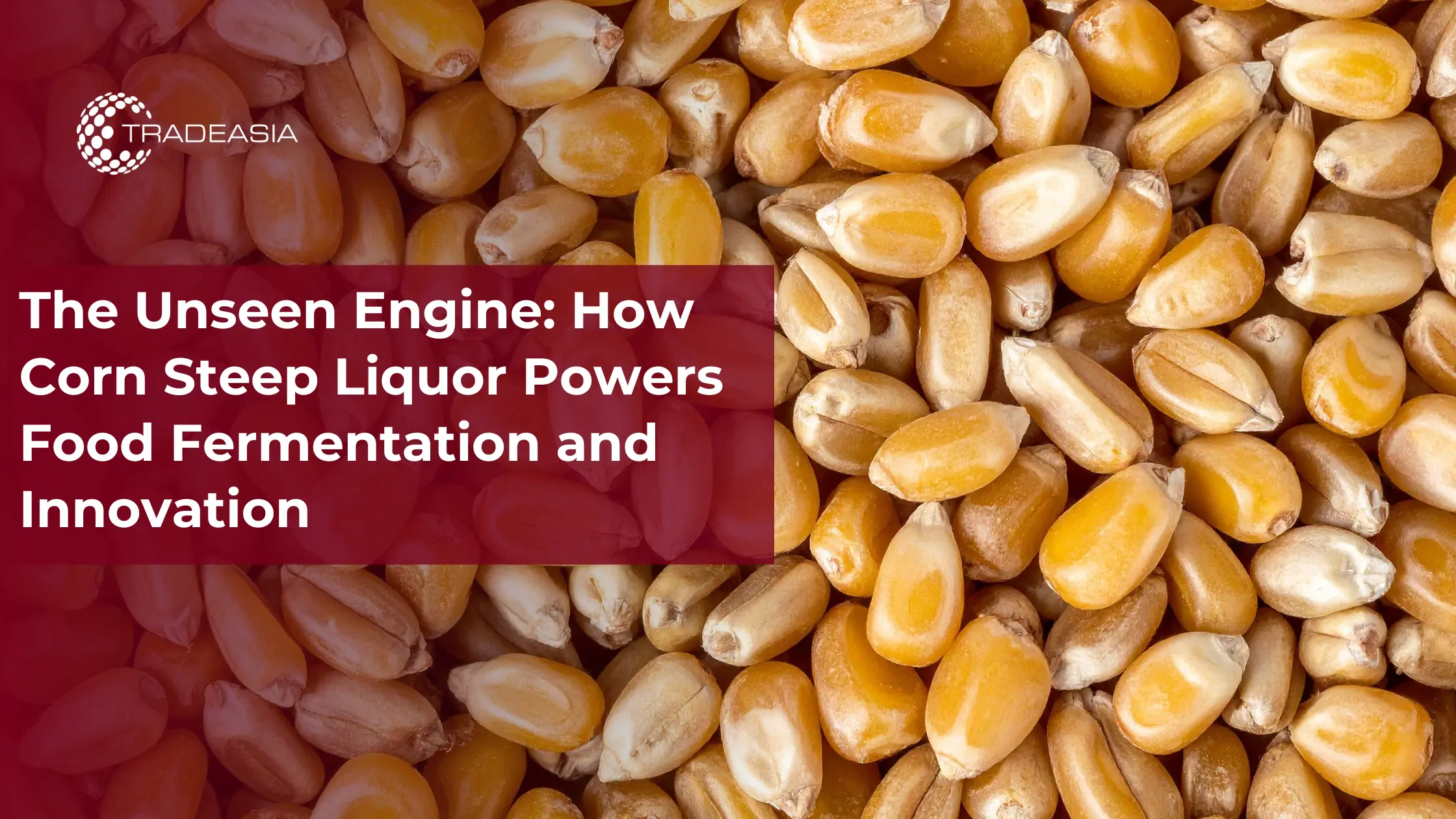 Banner Market Insight