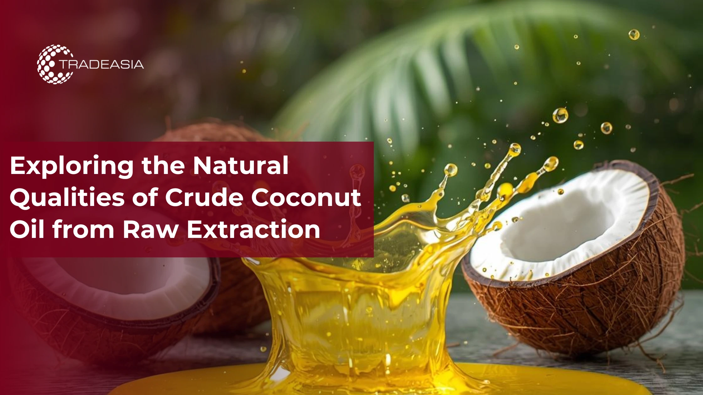 Banner Market Insight