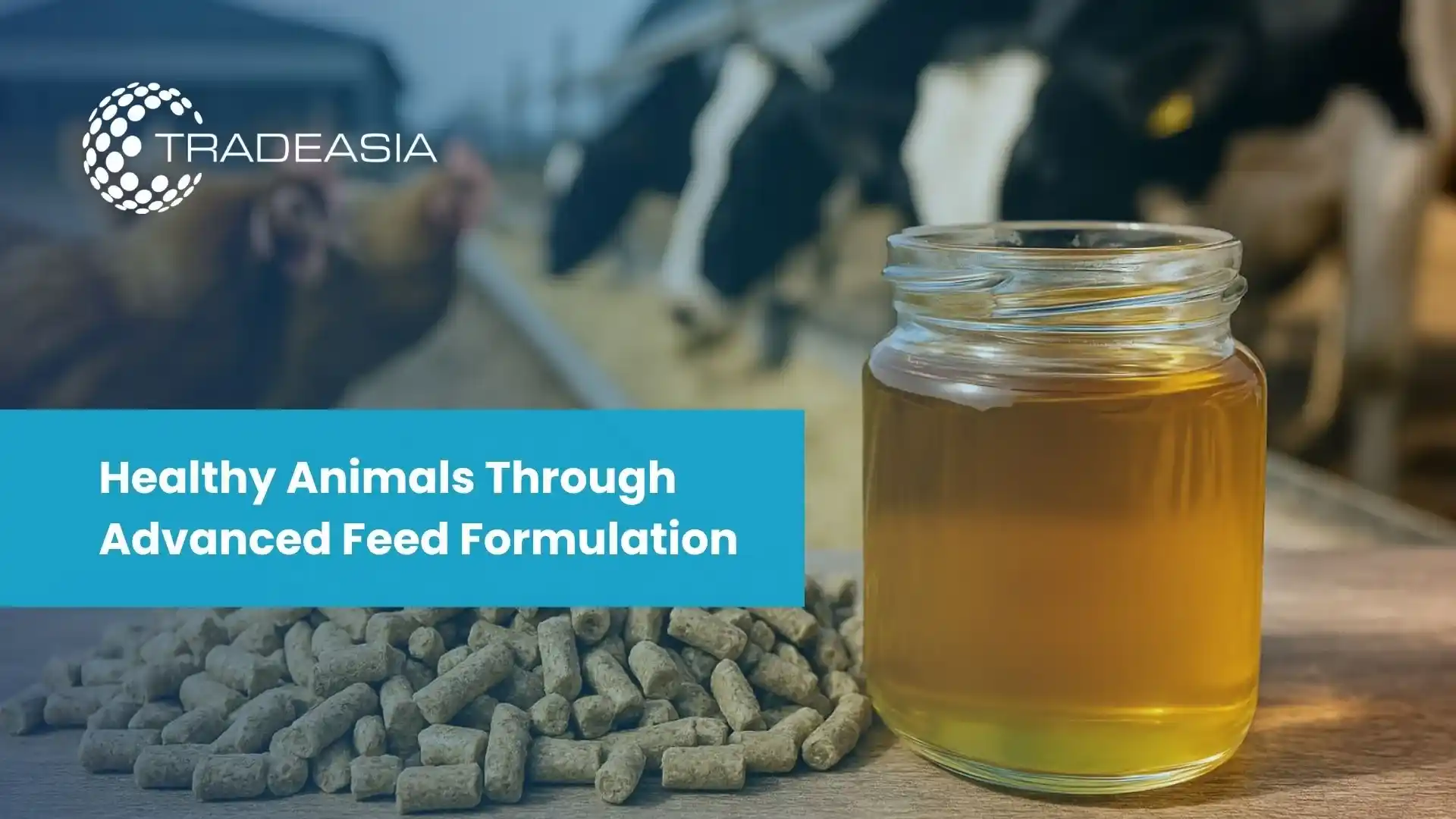 Why Soya Lecithin Is an Essential Additive in Modern Animal Feed Formulations