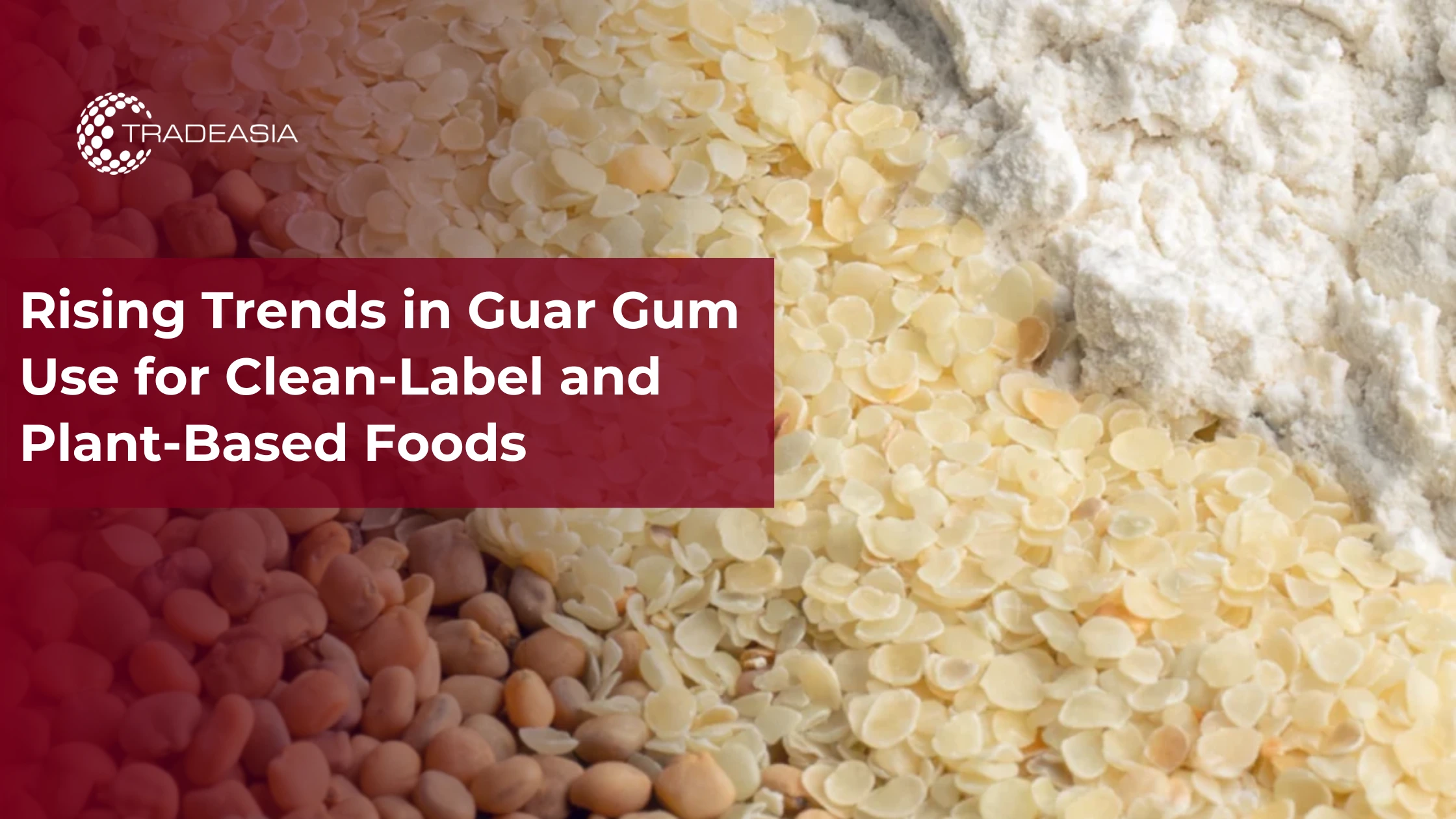 Banner Market Insight