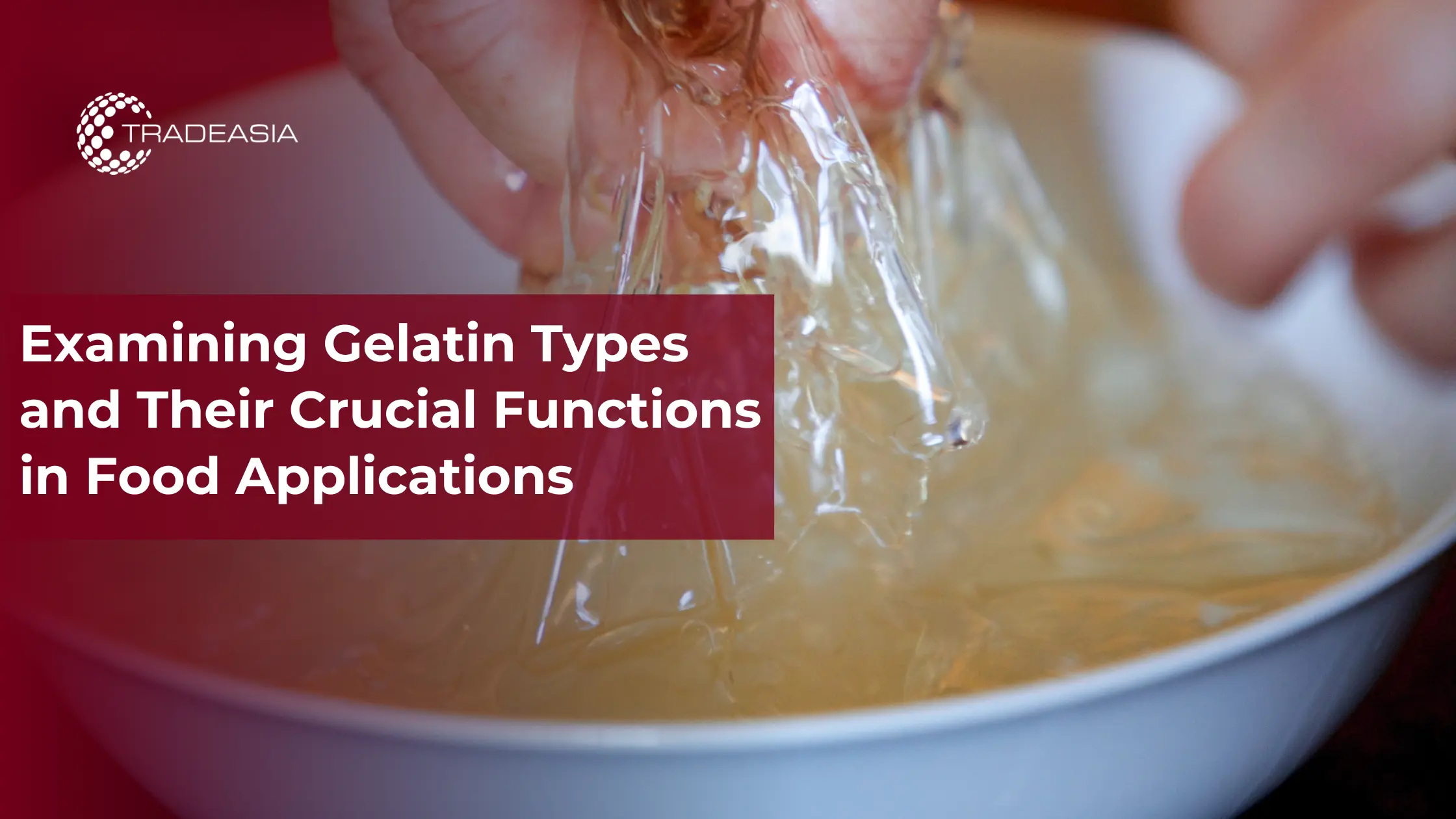 Banner Market Insight