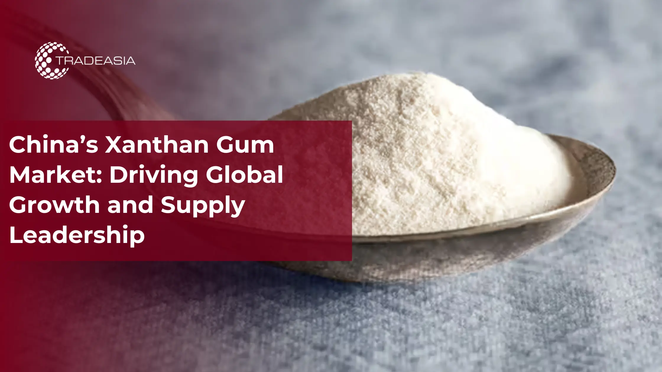 Banner Market Insight