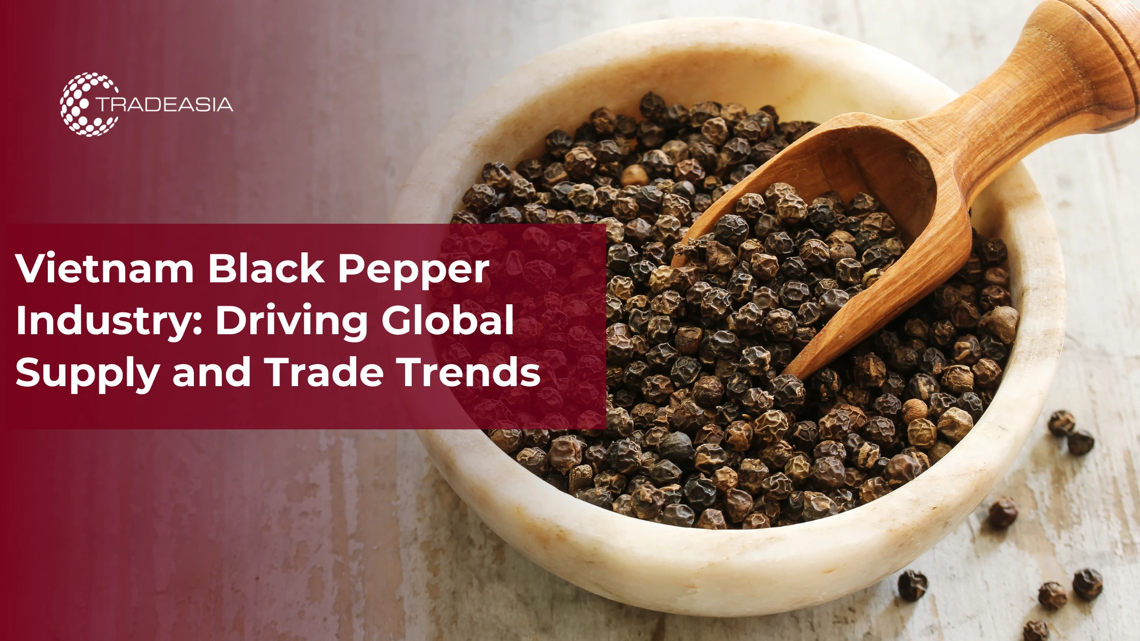 Banner Market Insight