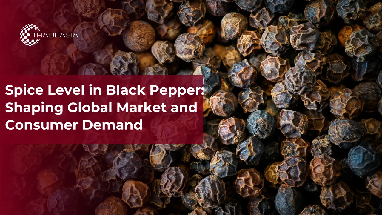 Banner Market Insight