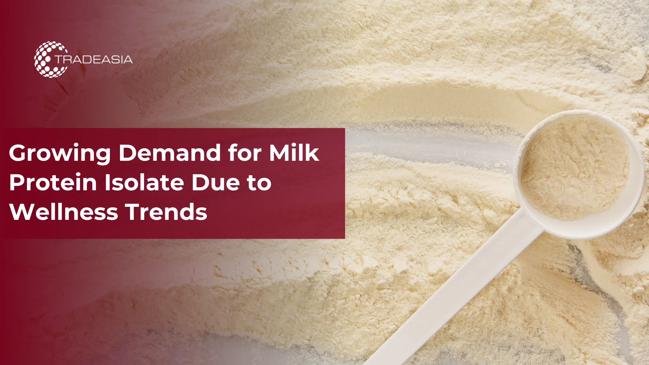 Banner Market Insight