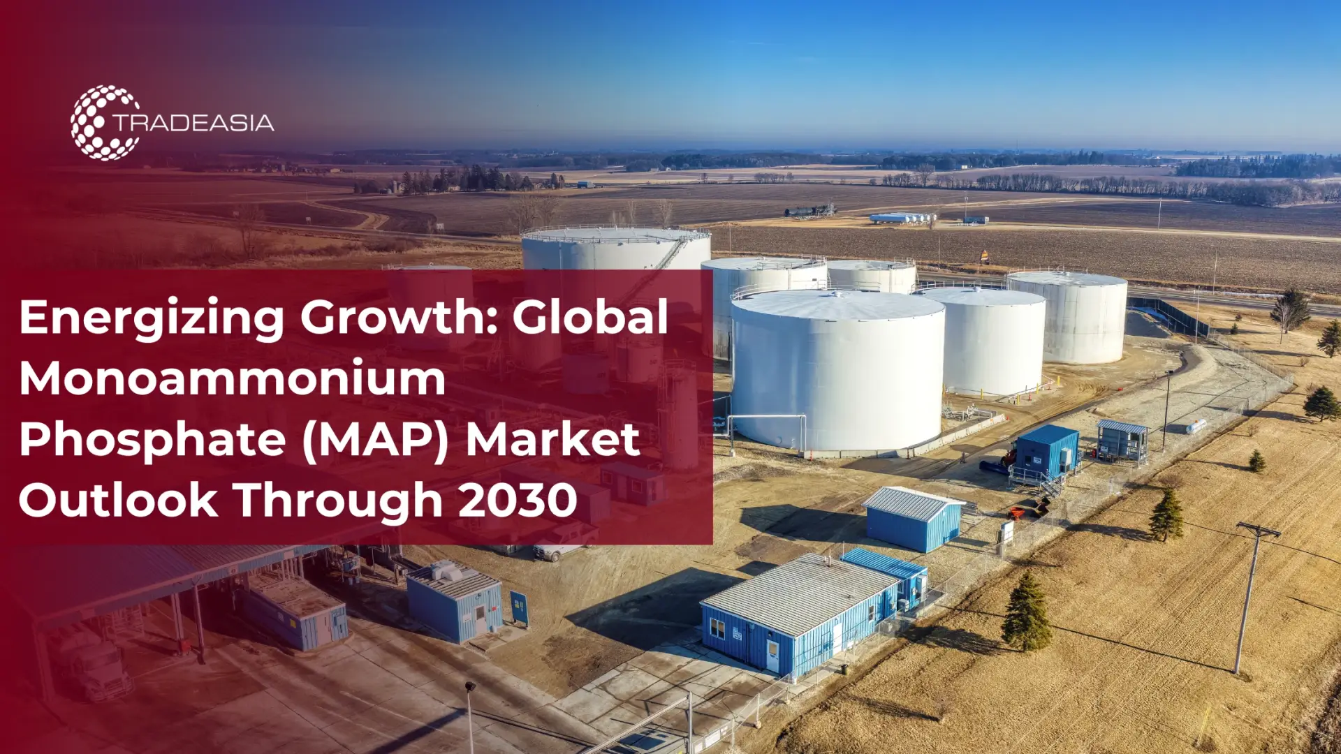 Banner Market Insight