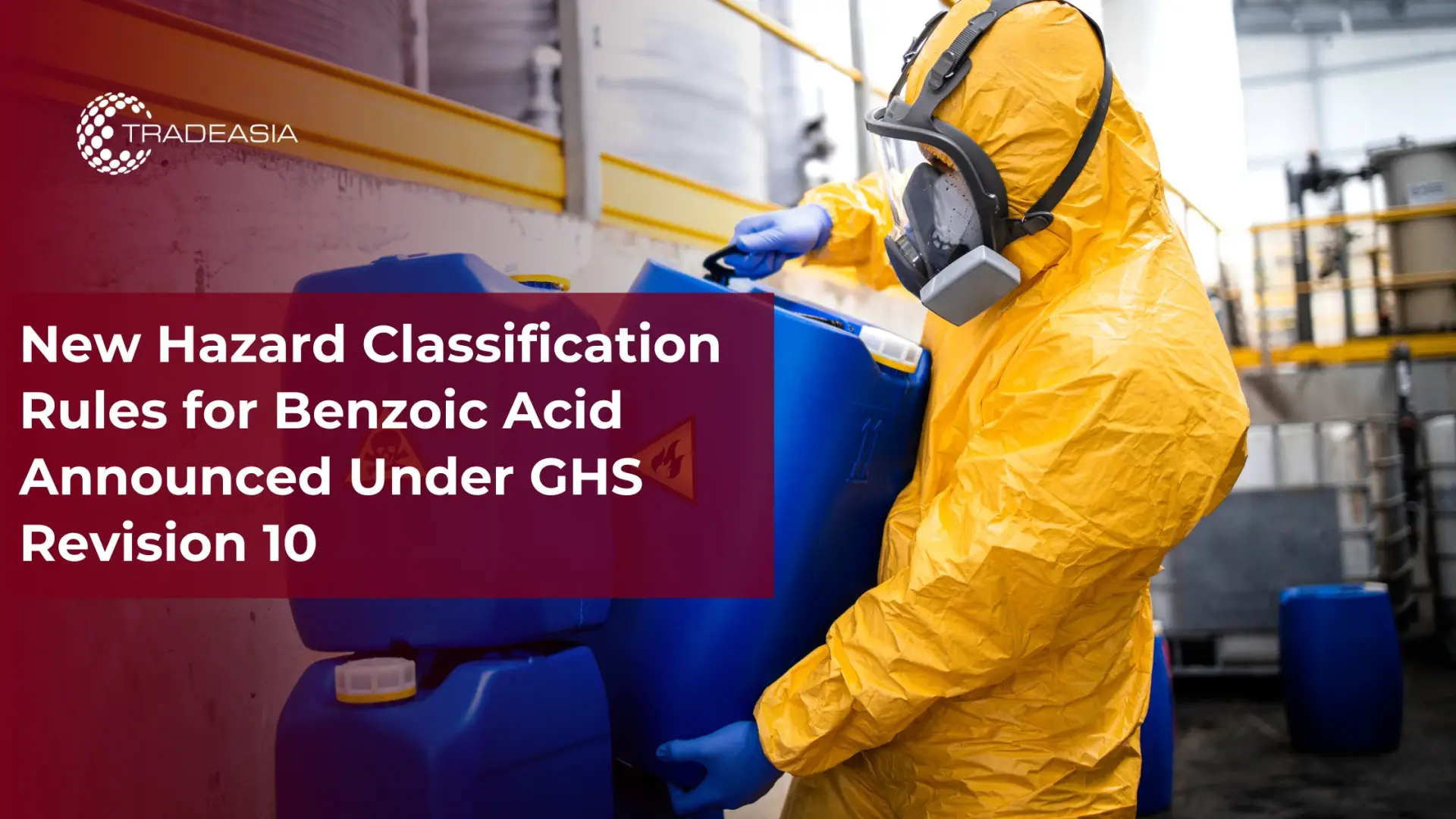 Banner Market Insight