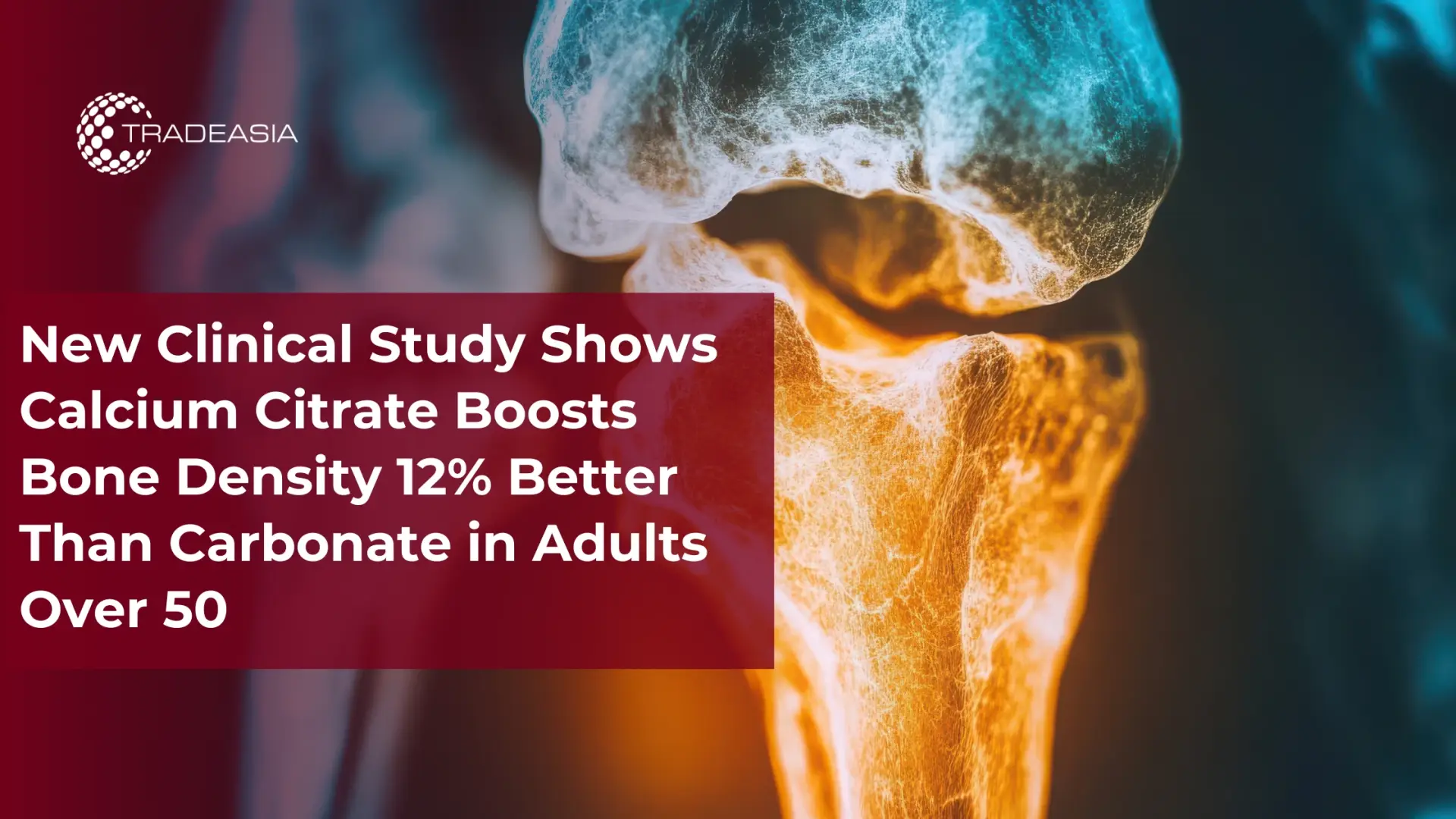 Banner Market Insight