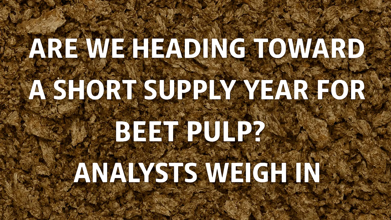Is a Beet Pulp Shortage Looming? Analysts Weigh In