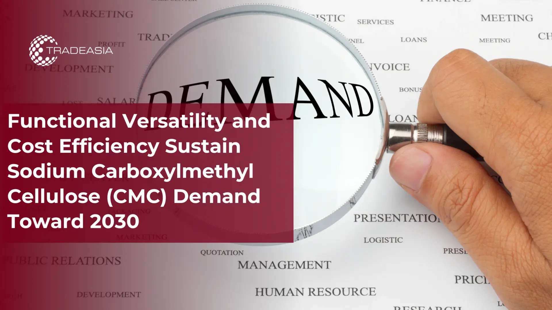 Banner Market Insight