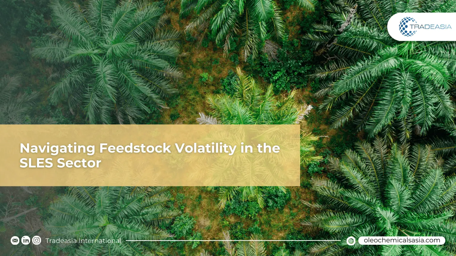 Asia-Pacific Resilience: Navigating Feedstock Volatility in the SLES Sector