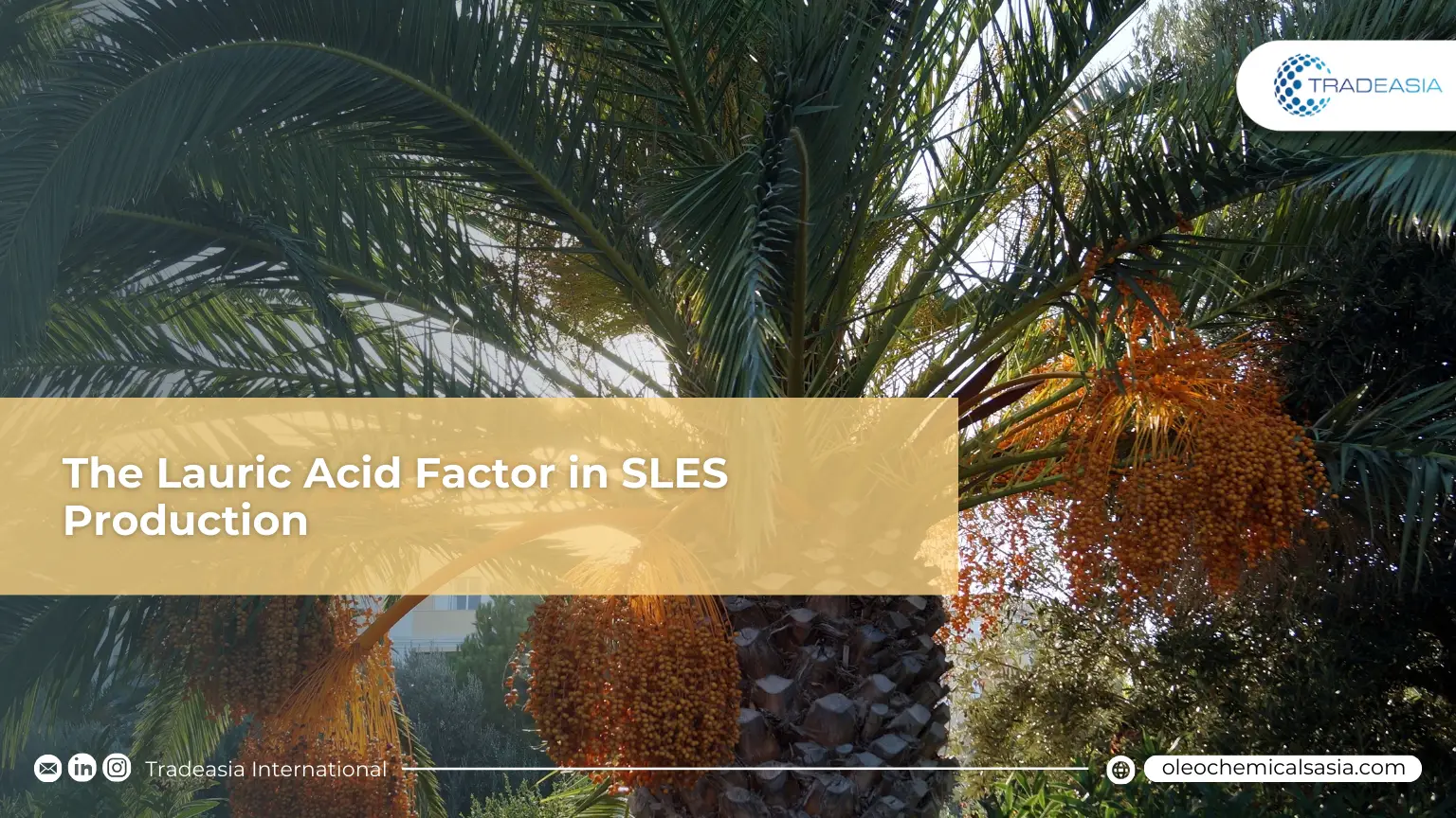 Sustainable Surfactants: The Lauric Acid Factor in SLES Production
