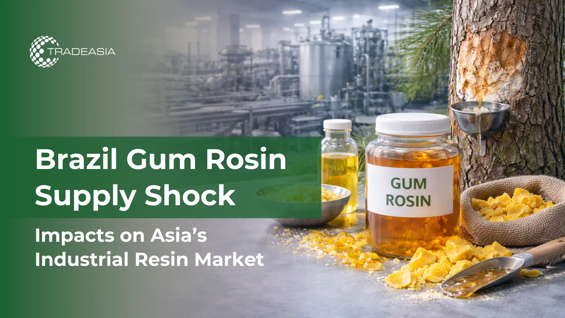 How Brazil’s Gum Rosin Supply Shock Is Reshaping Asia’s Industrial Resin 2026 Market
