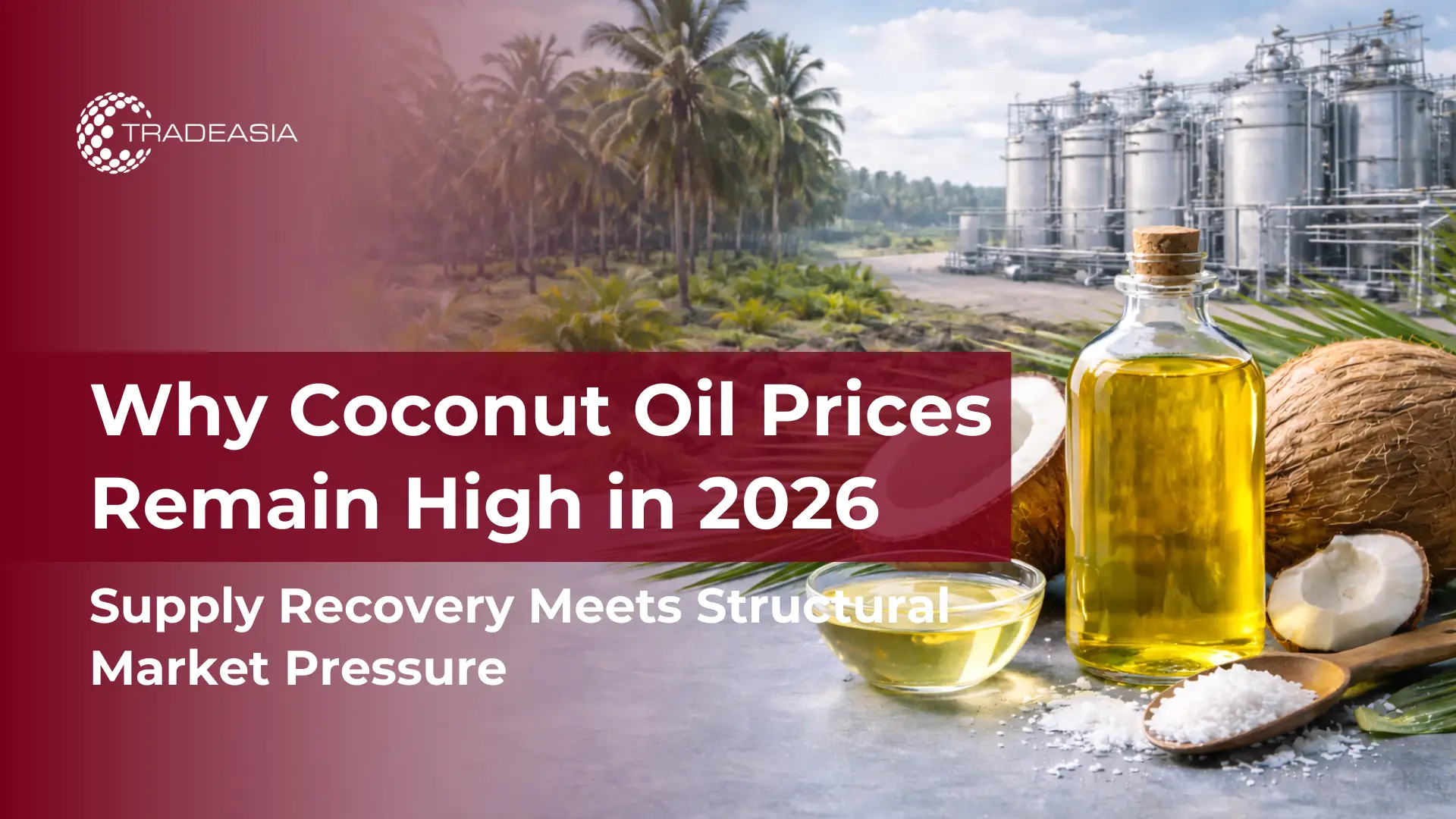 Why Coconut Oil Prices Remain High in 2026 Despite Production Recovery