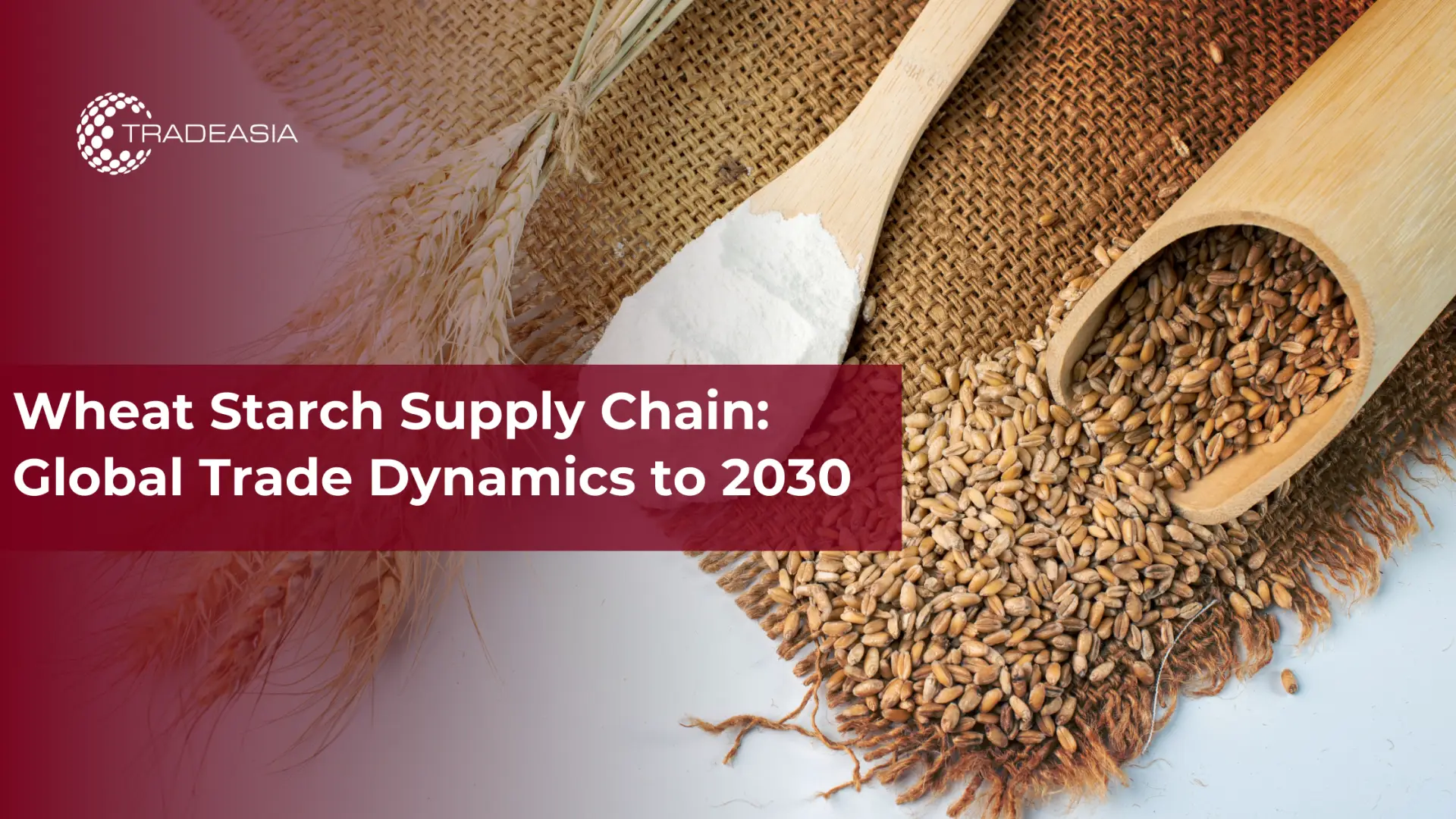 Wheat Starch Supply Chain: Global Trade Dynamics to 2030