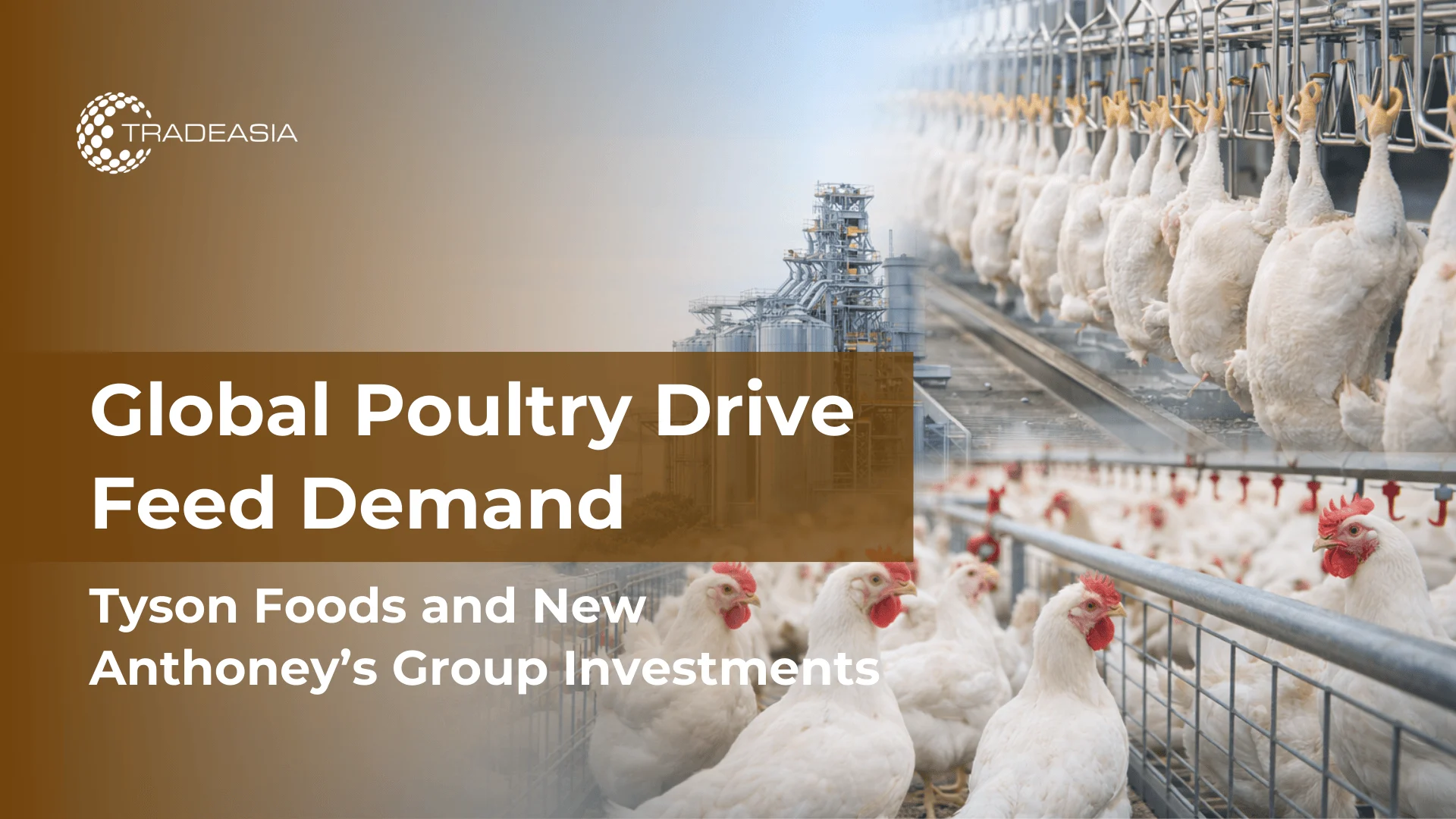 Article Banner | Poultry meal demand growth driven by Tyson Foods and New Anthoney’s Group poultry industry investments