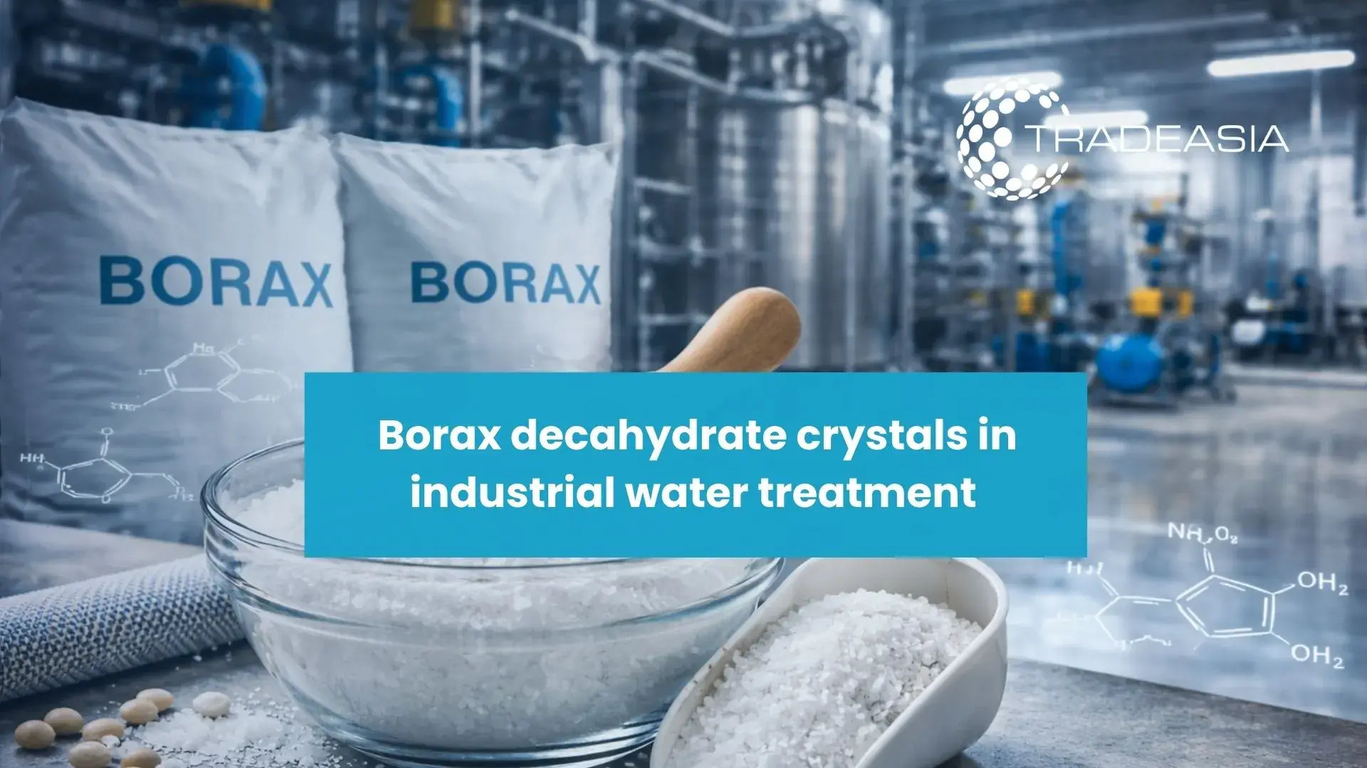 Banner Market Insight