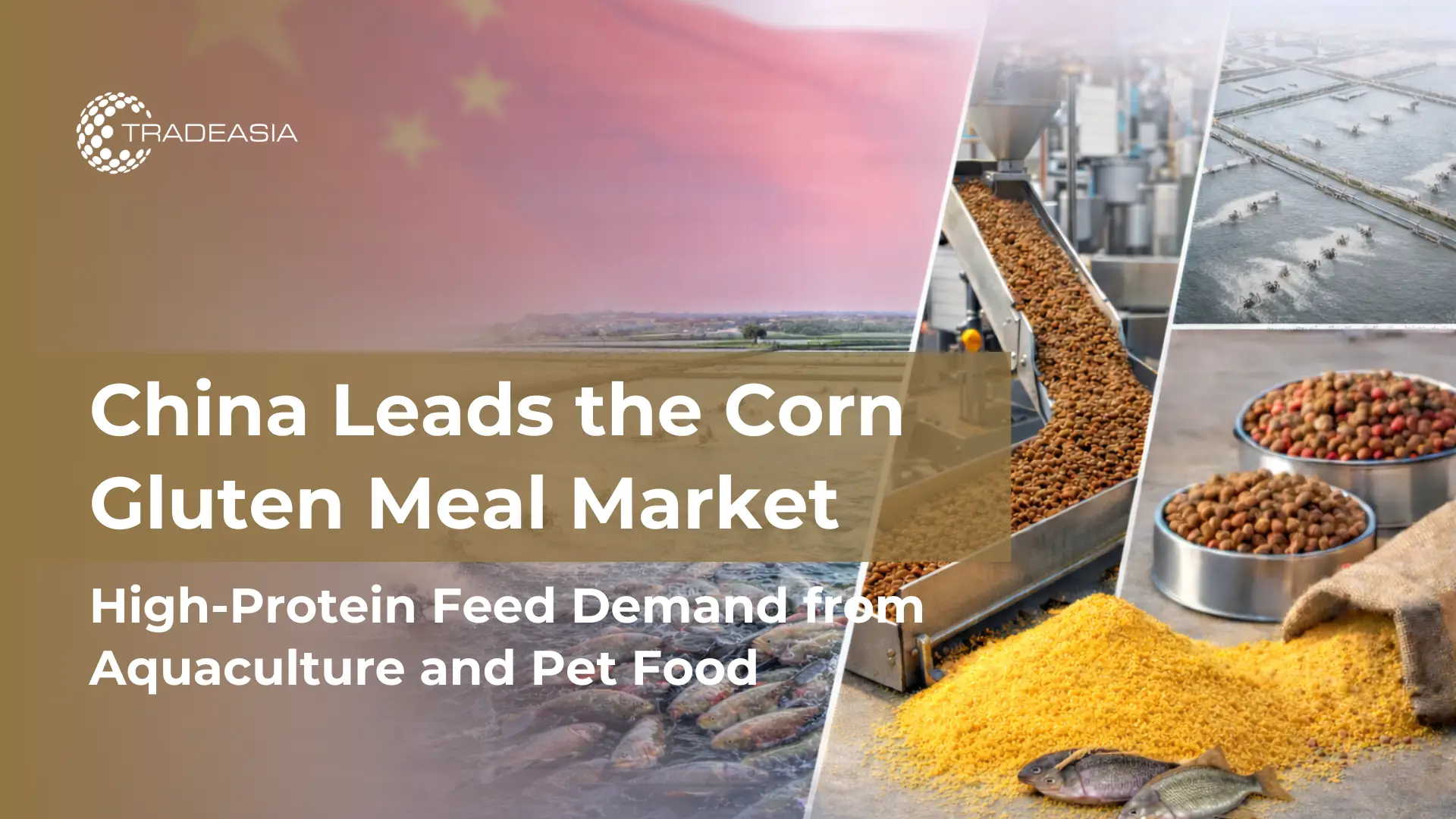 Banner Market Insight