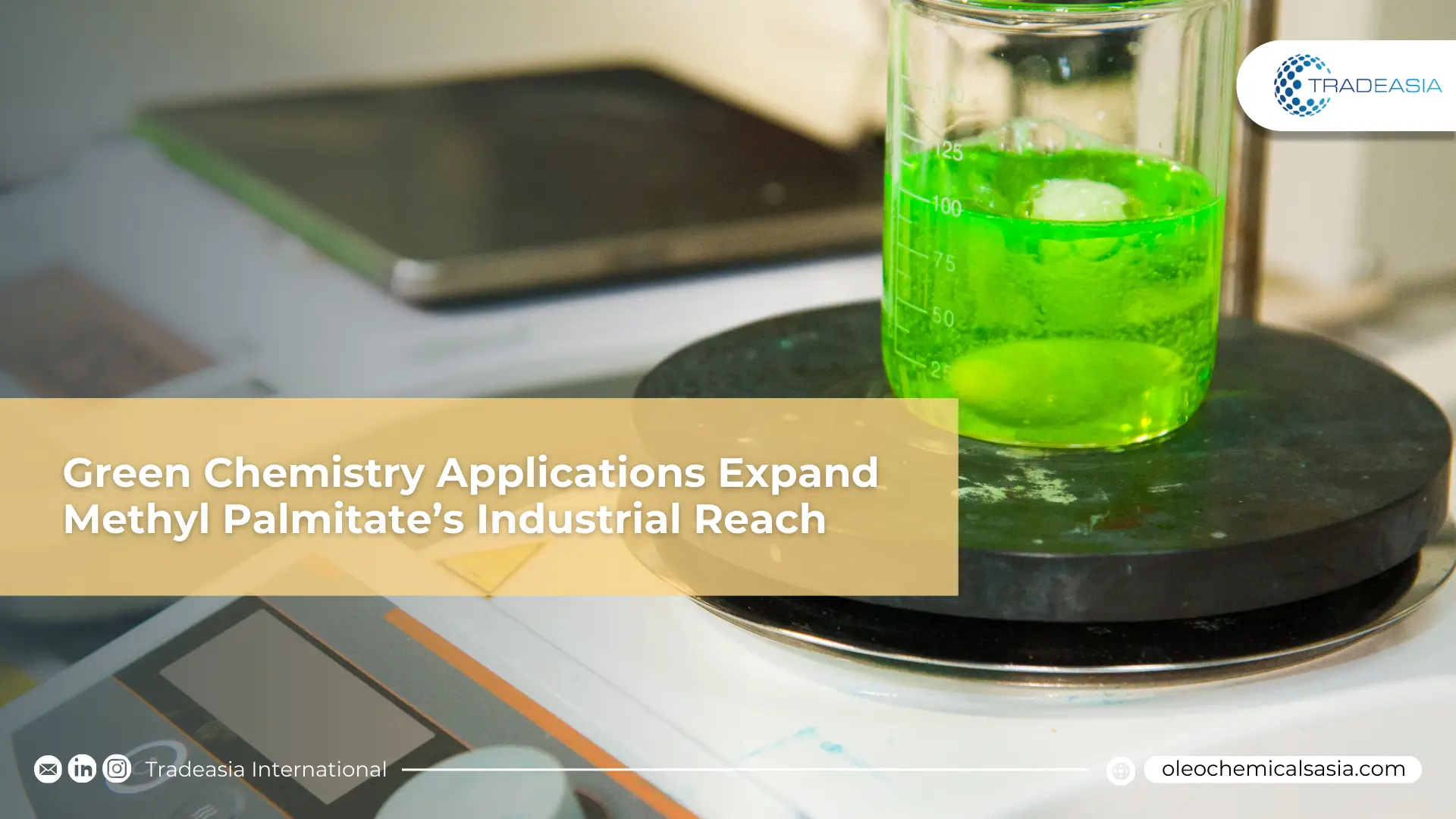 Banner Market Insight