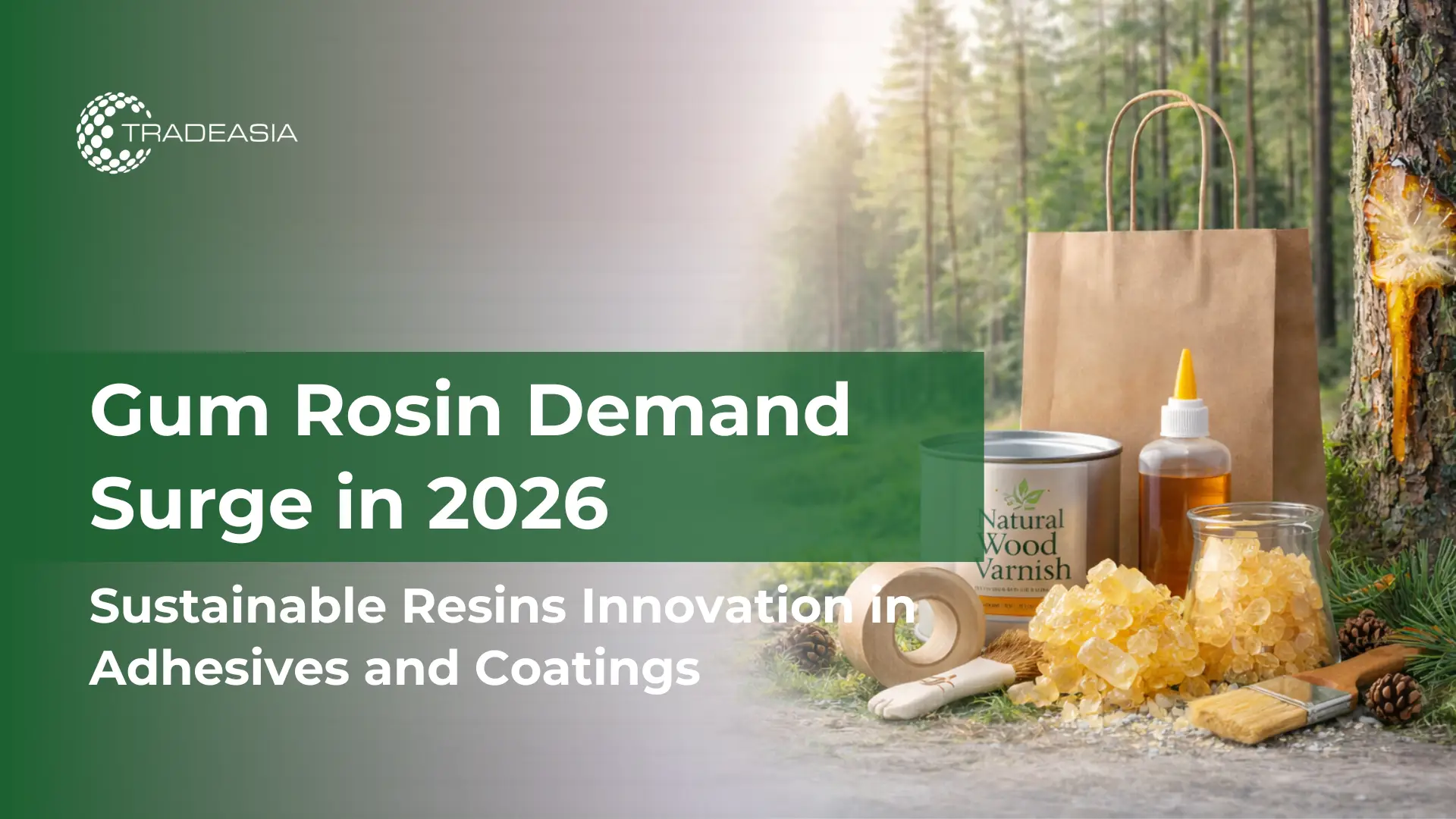Article Banner | Sustainability trends driving gum rosin demand for eco-friendly adhesives and coatings