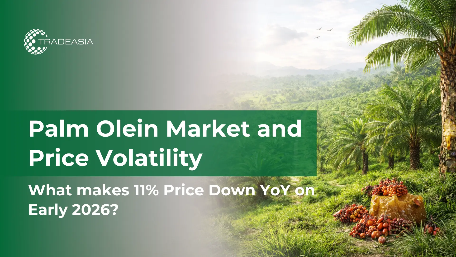 Article Banner | Palm olein market volatility driven by supply and demand concerns in 2026