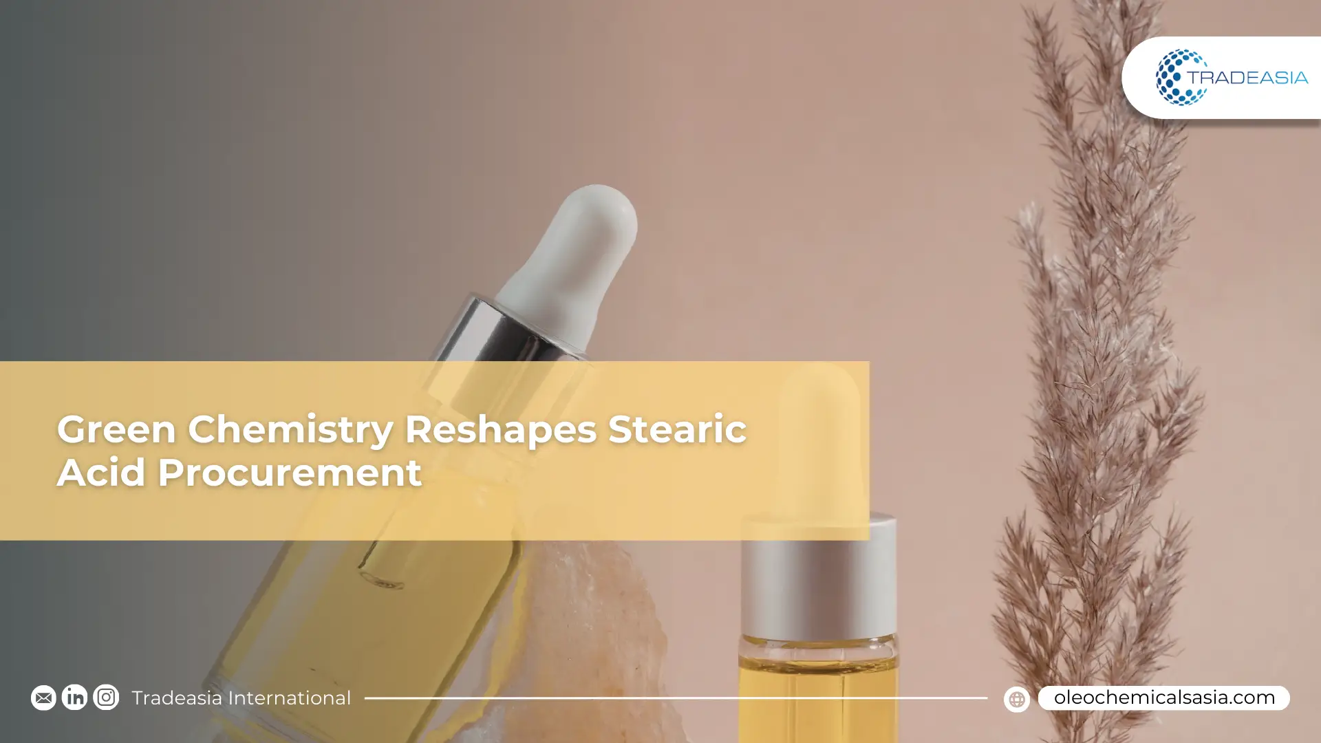 A professional laboratory setting showing plant-based stearic acid samples for FMCG applications.