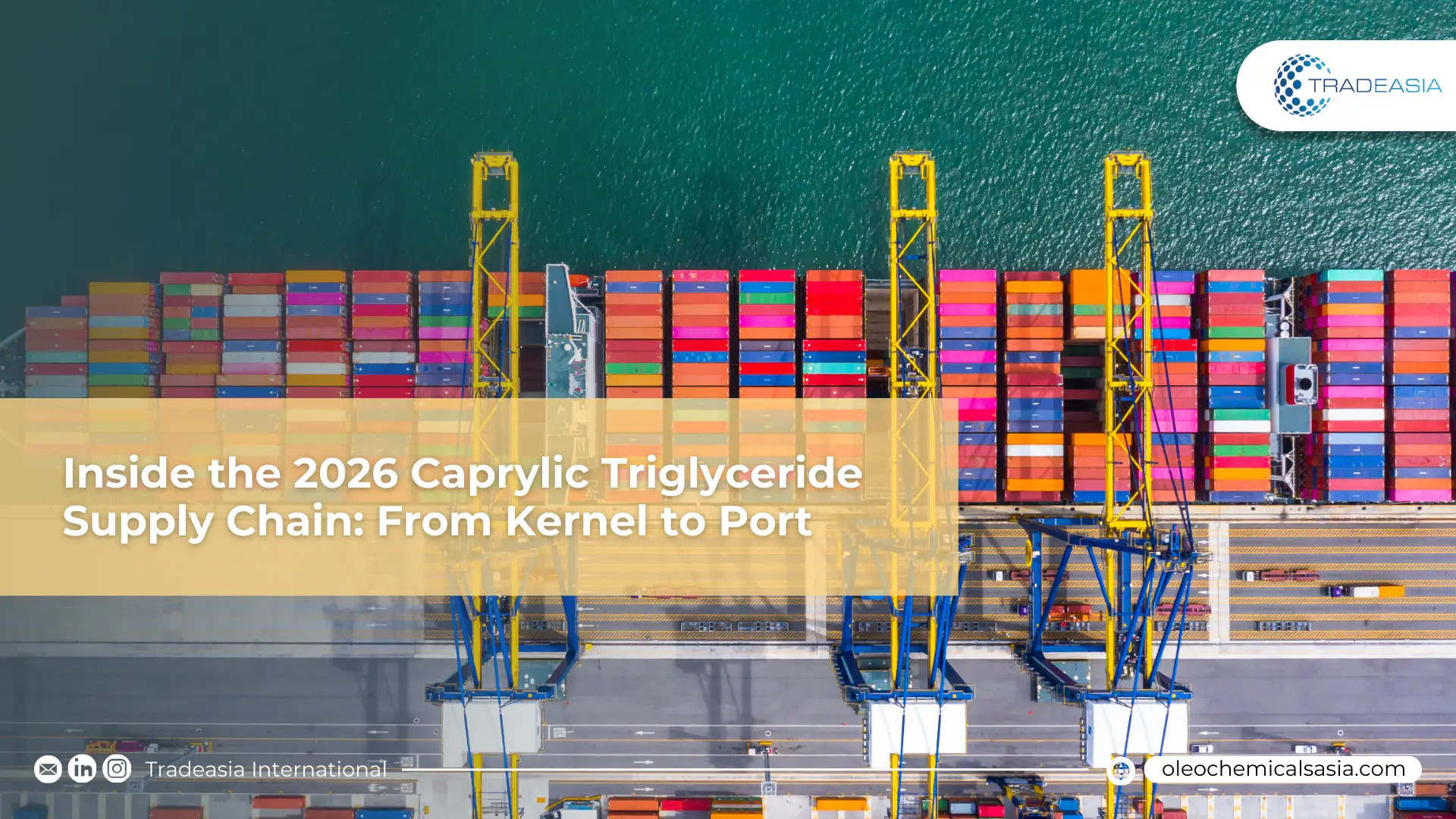 Inside the 2026 Caprylic Triglyceride Supply Chain: From Kernel to Port