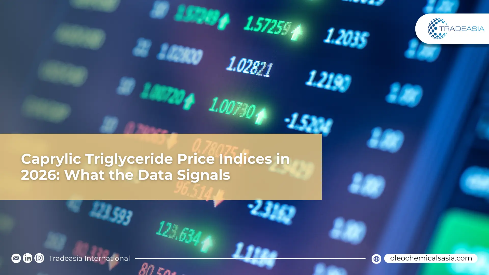 Inside the 2026 Caprylic Triglyceride Supply Chain: From Kernel to Port