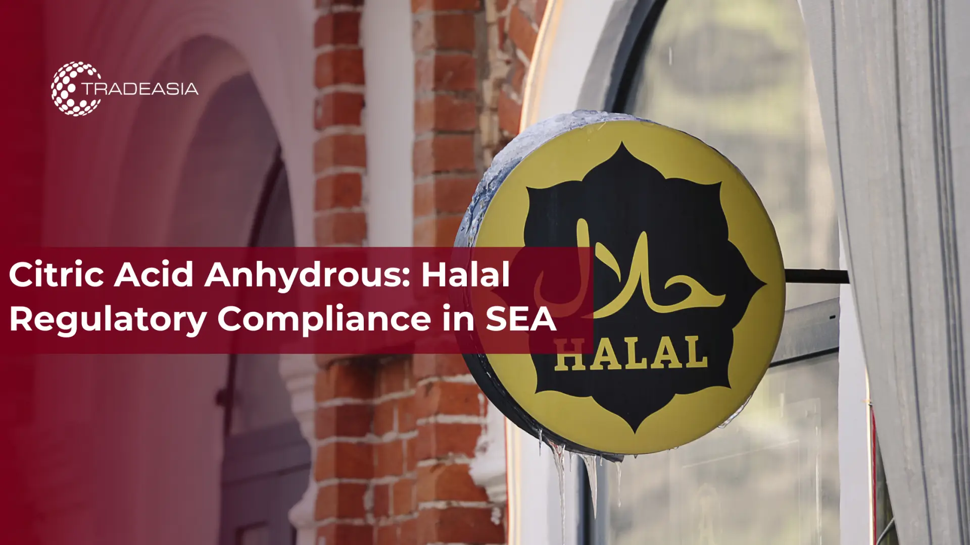 Banner Market Insight