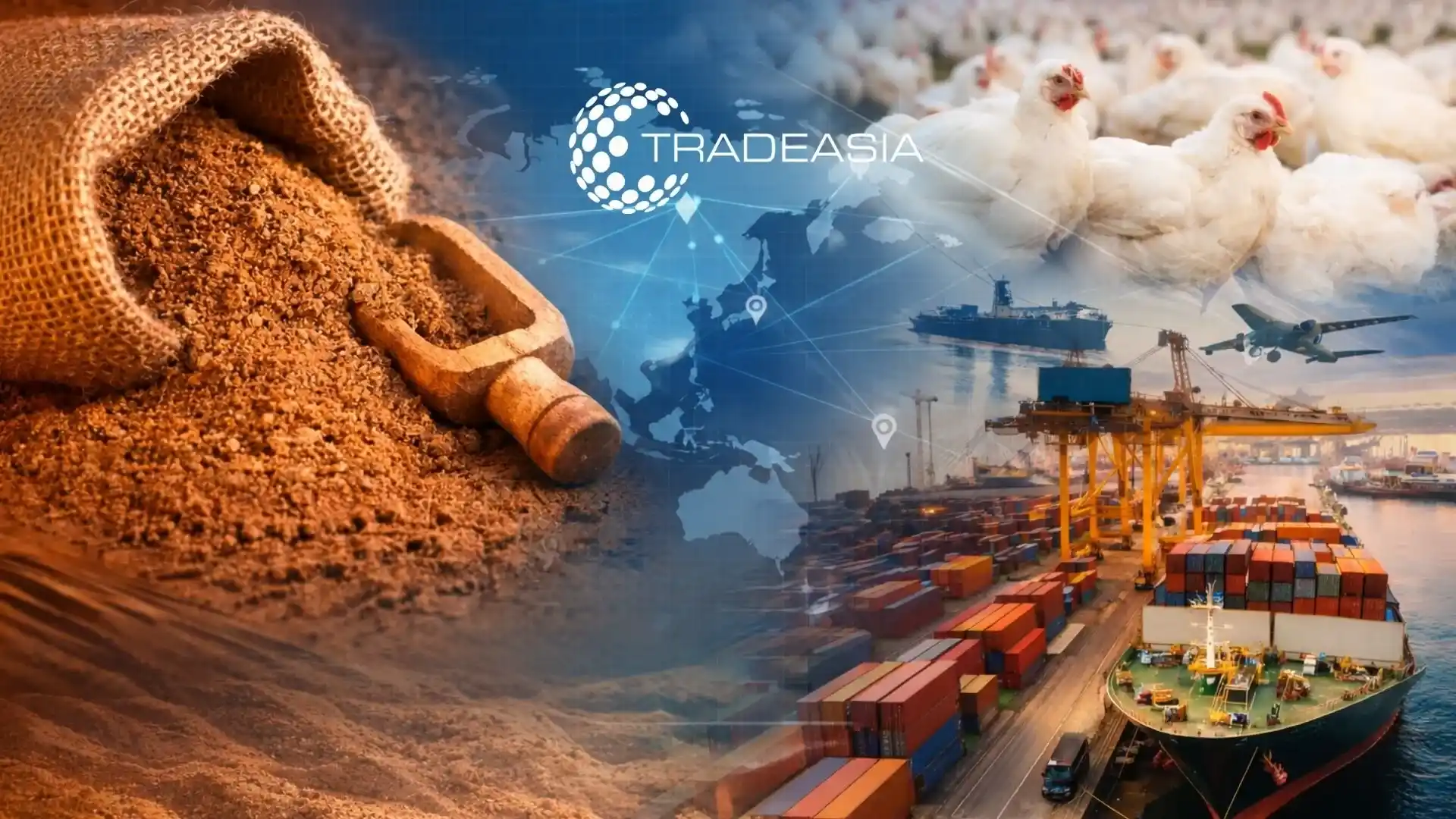 Navigating Asia's Feather Meal Supply Chain for Feed