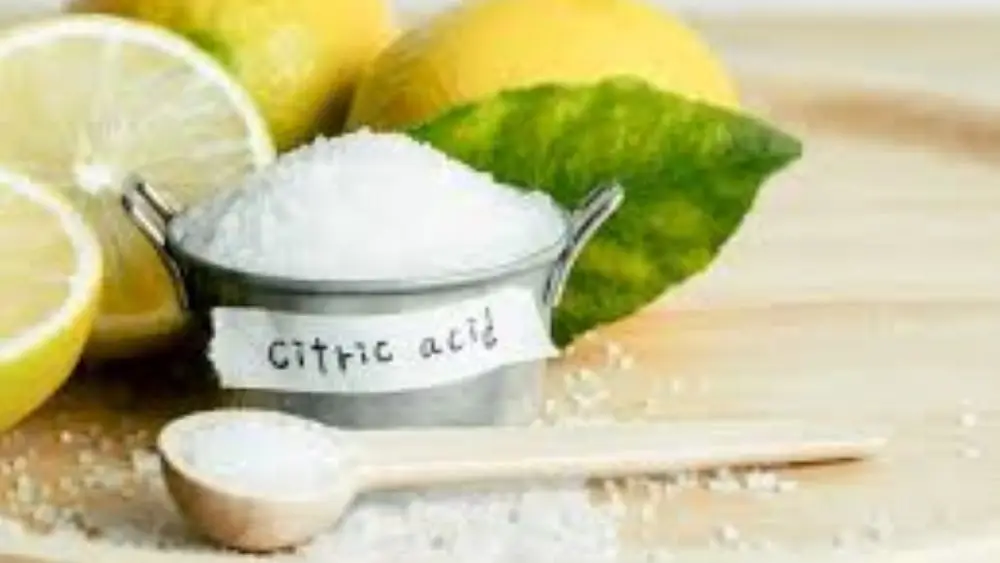 Citric Acid Anhydrous Market Size, Share and Outlook 2026–2046