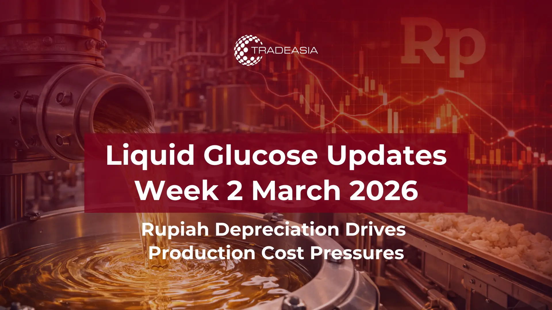 Banner Market Insight