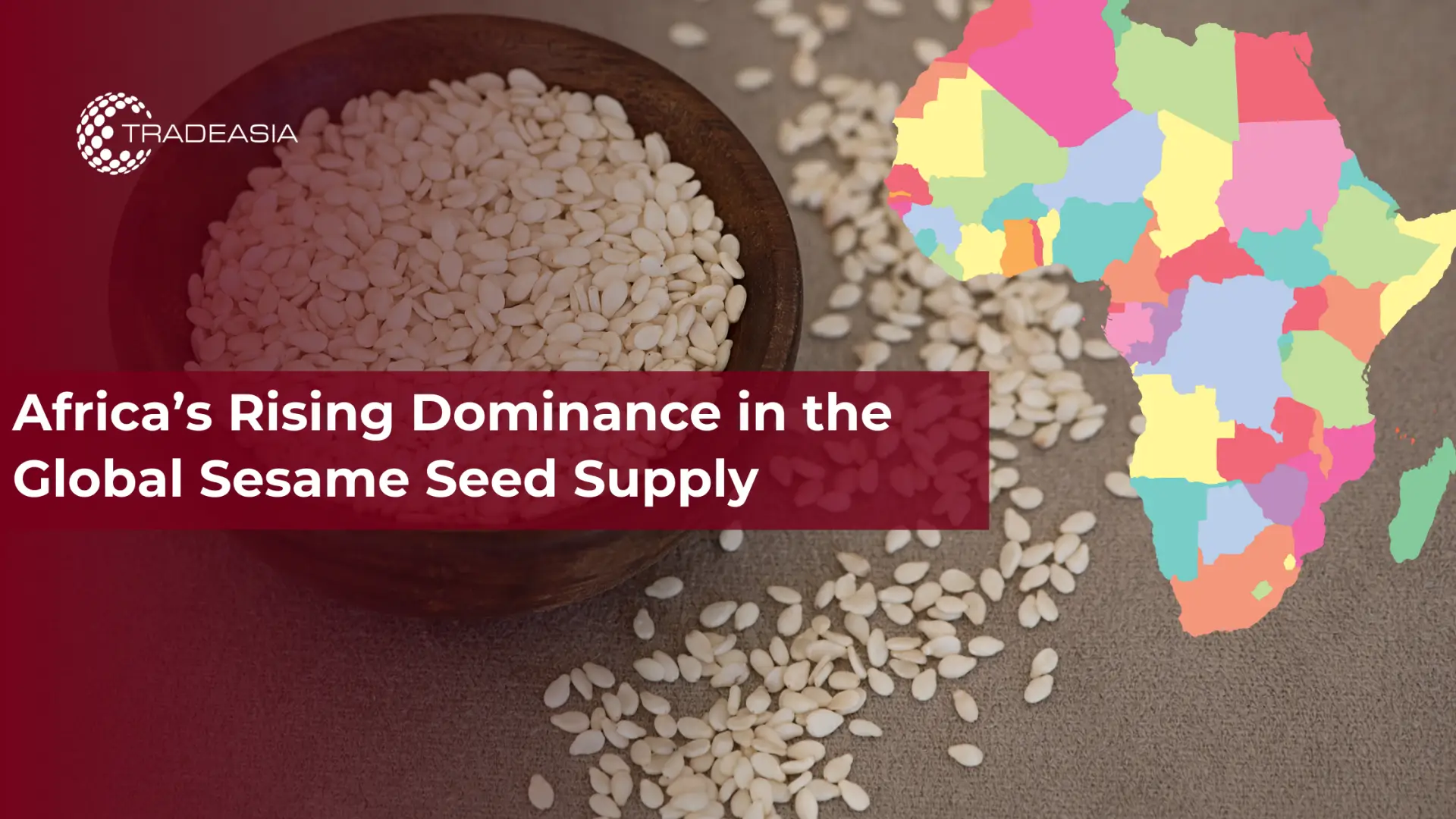 Africa’s Rising Dominance in the Global Sesame Seed Supply 