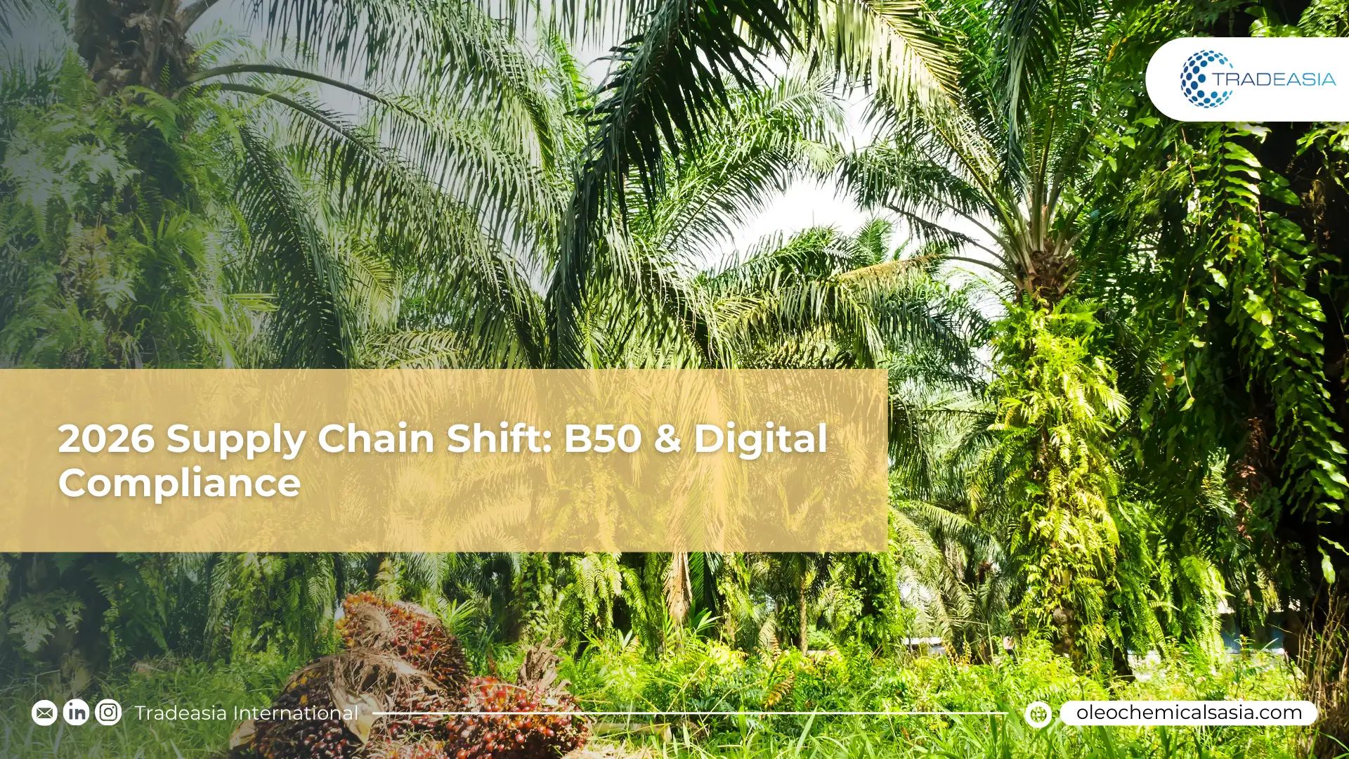 Digital interface showing blockchain tracking for Lauryl Myristyl Alcohol shipments at an Indonesian port.