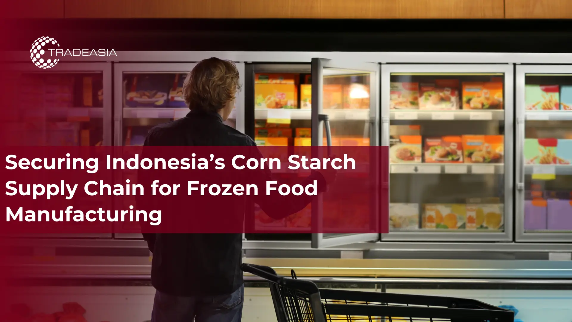 Securing Indonesia’s Corn Starch Supply Chain for Frozen Food Manufacturing