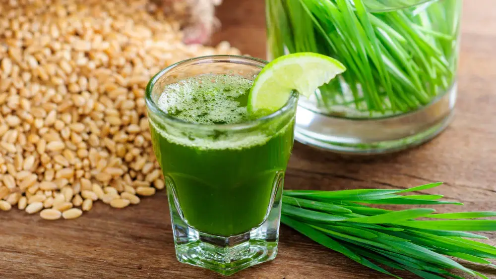 Wheatgrass Powder Market : Supply Chains in Focus
