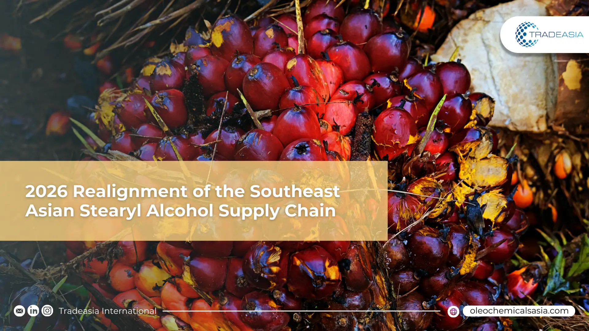 Container ships at Port Klang loading blockchain-verified Stearyl Alcohol for export to Europe