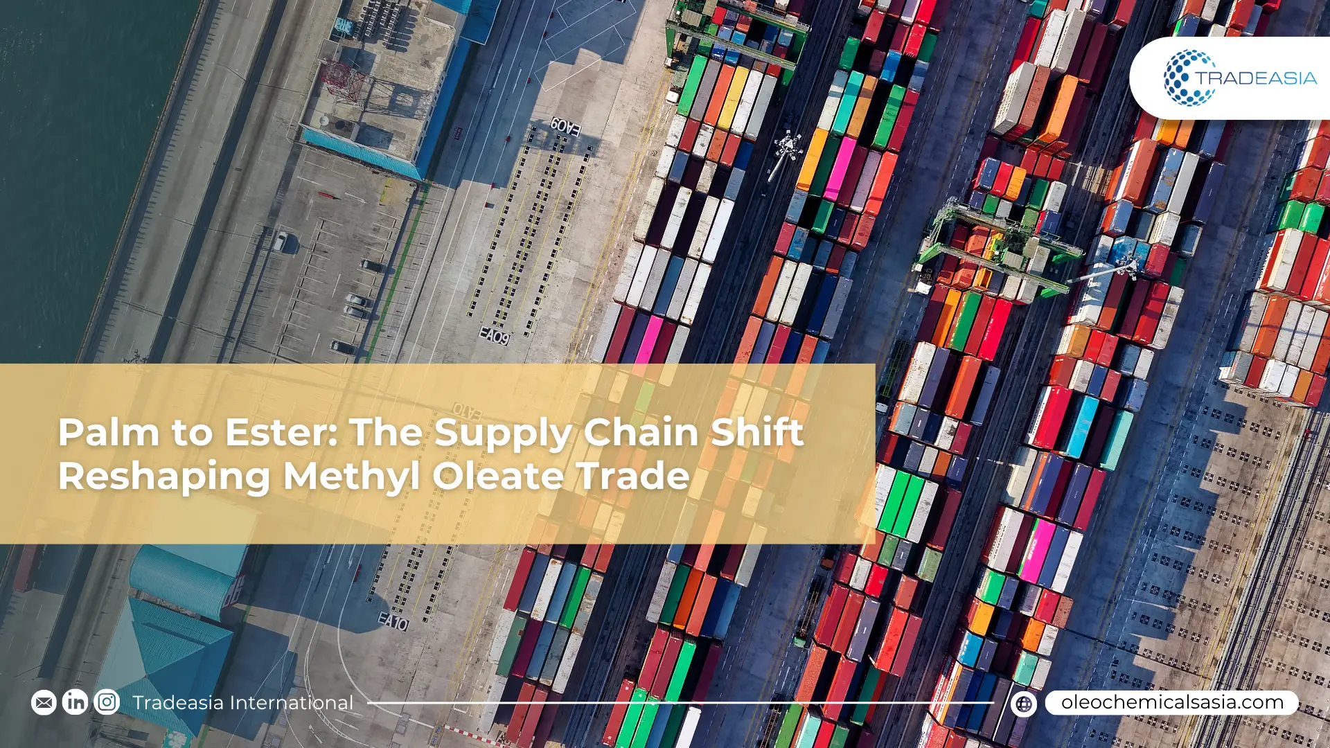 Palm to Ester: The Supply Chain Shift Reshaping Methyl Oleate Trade