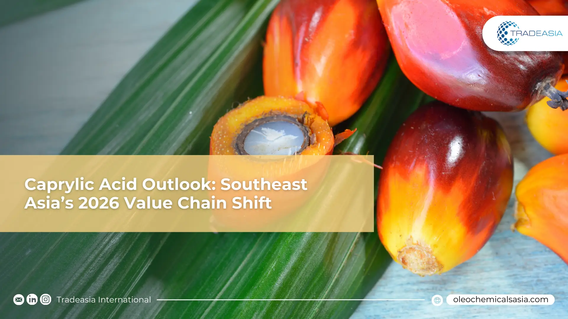Digital interface showing blockchain tracking for palm-based oleochemical shipments in a Southeast Asian port