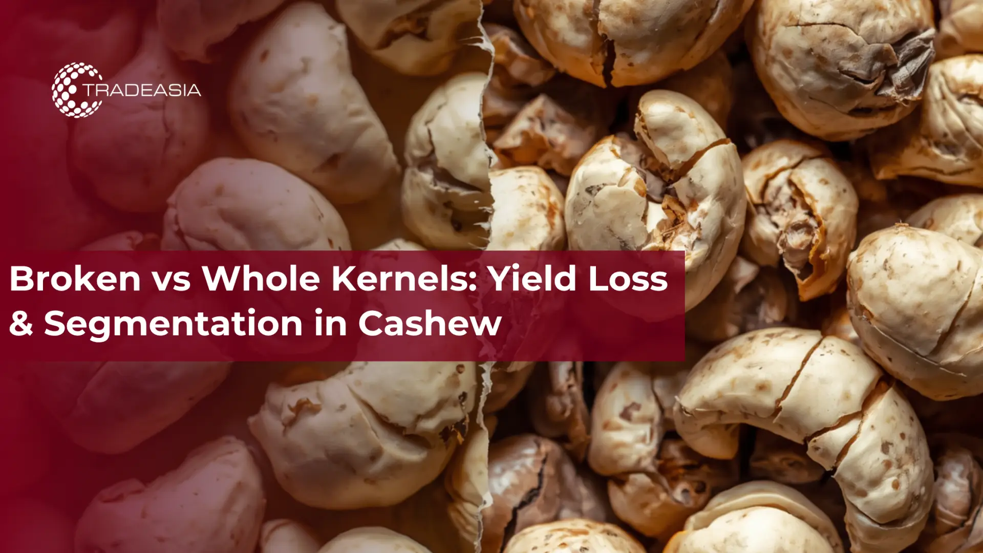 Broken vs Whole Kernels: Yield Loss & Segmentation in Cashew