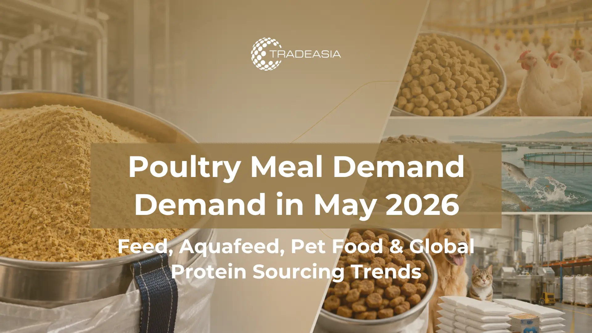 Article Banner | Poultry meal demand in May 2026 across livestock feed, aquafeed, pet food, global supply, and B2B protein sourcing markets.