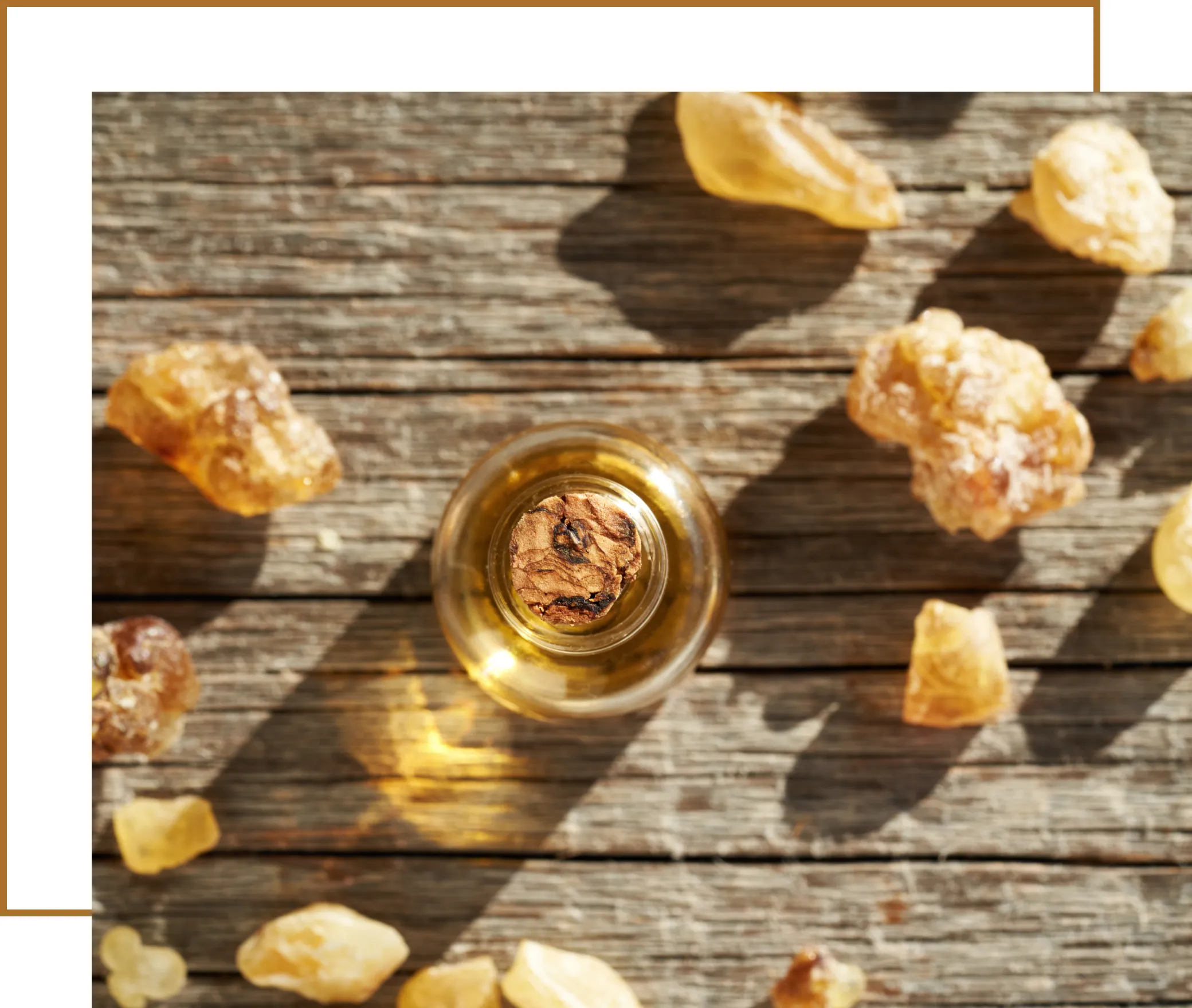 Gum Rosin Derivative by Tradeasia